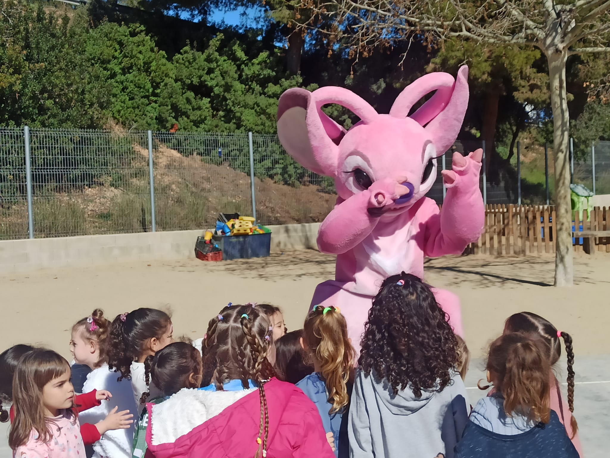 WhatsApp Image 2025-02-26 at 14.04.35