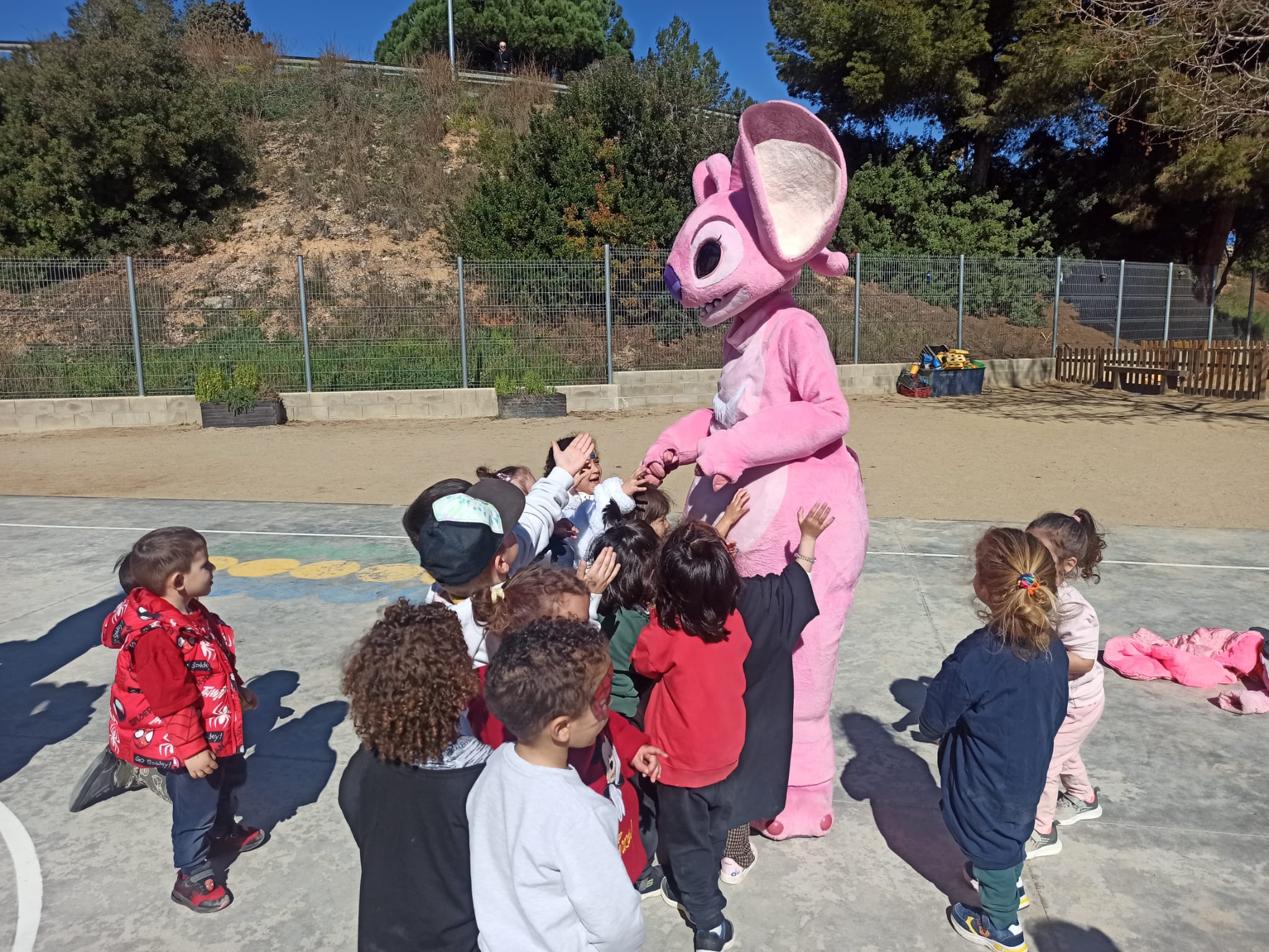 WhatsApp Image 2025-02-26 at 14.04.36