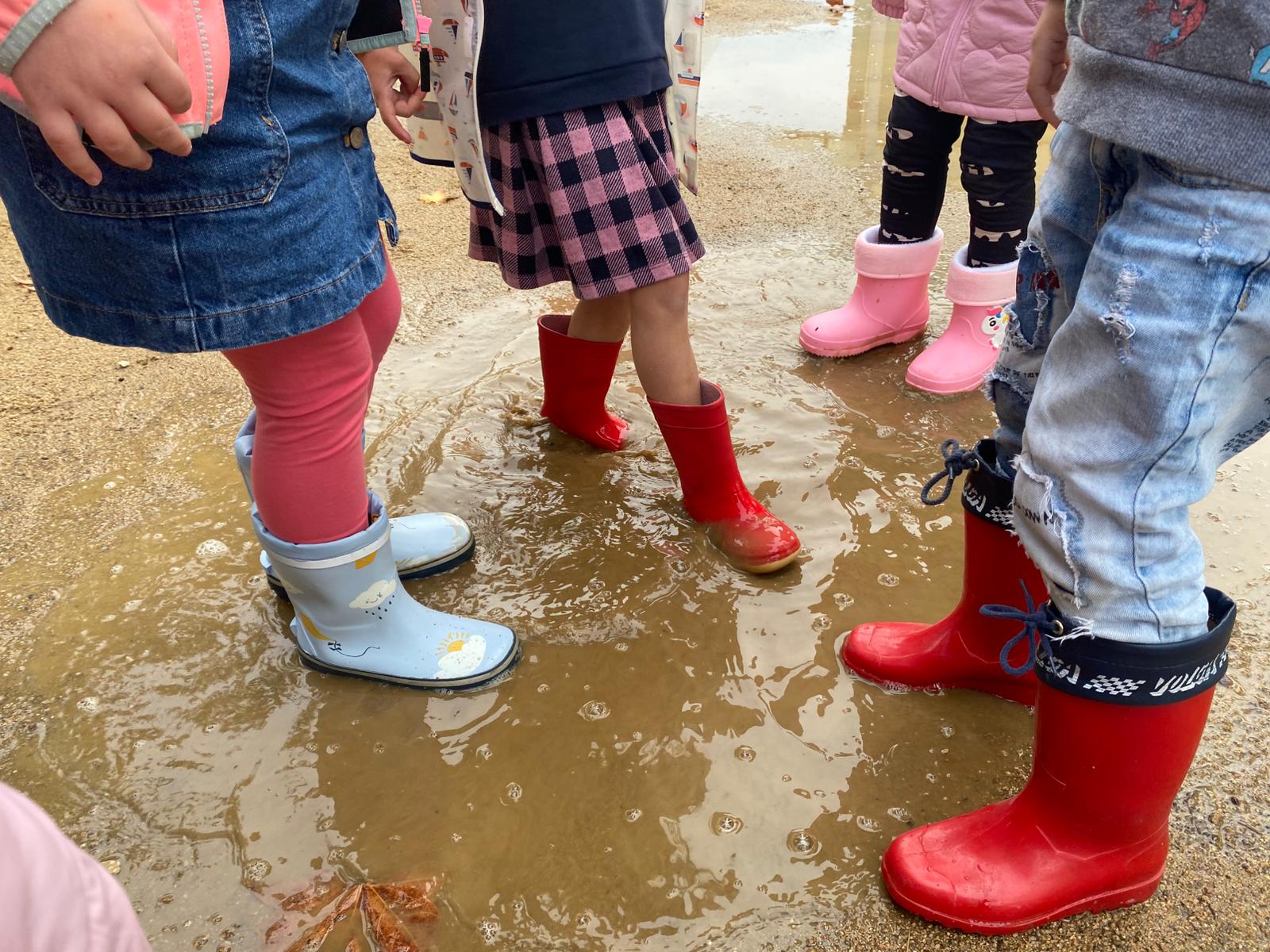 3088b5f5-6e55-4fc2-9915-11fe057d06f5