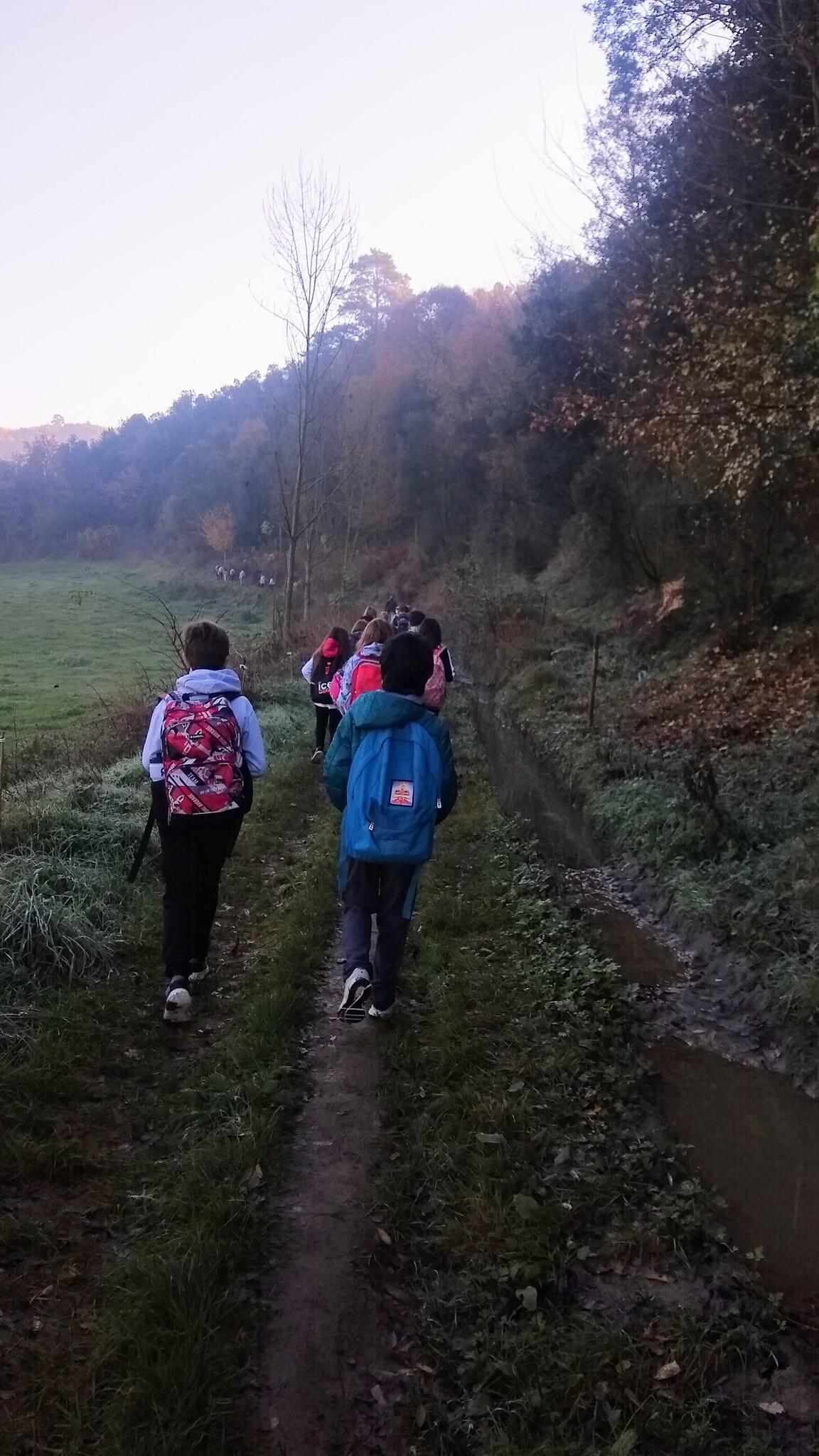 IMG_20201111_093713695