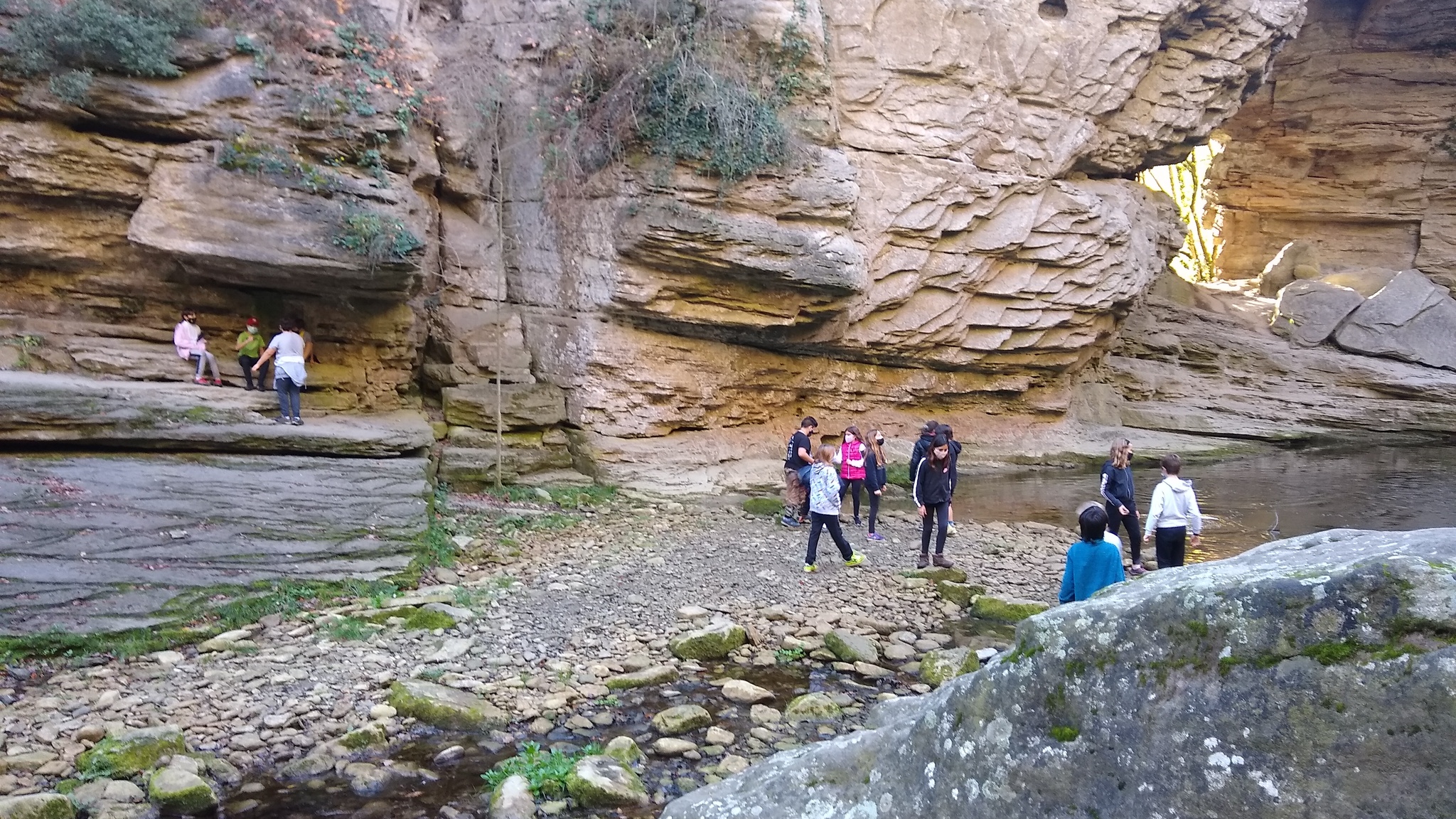 IMG_20201111_105300831