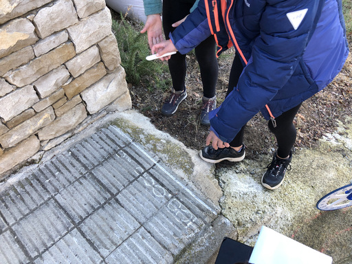 162809F3-C4C0-4879-B9F4-8710EC3C8B29_1_105_c