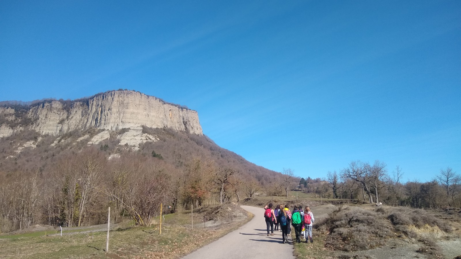 IMG_20210211_114841332