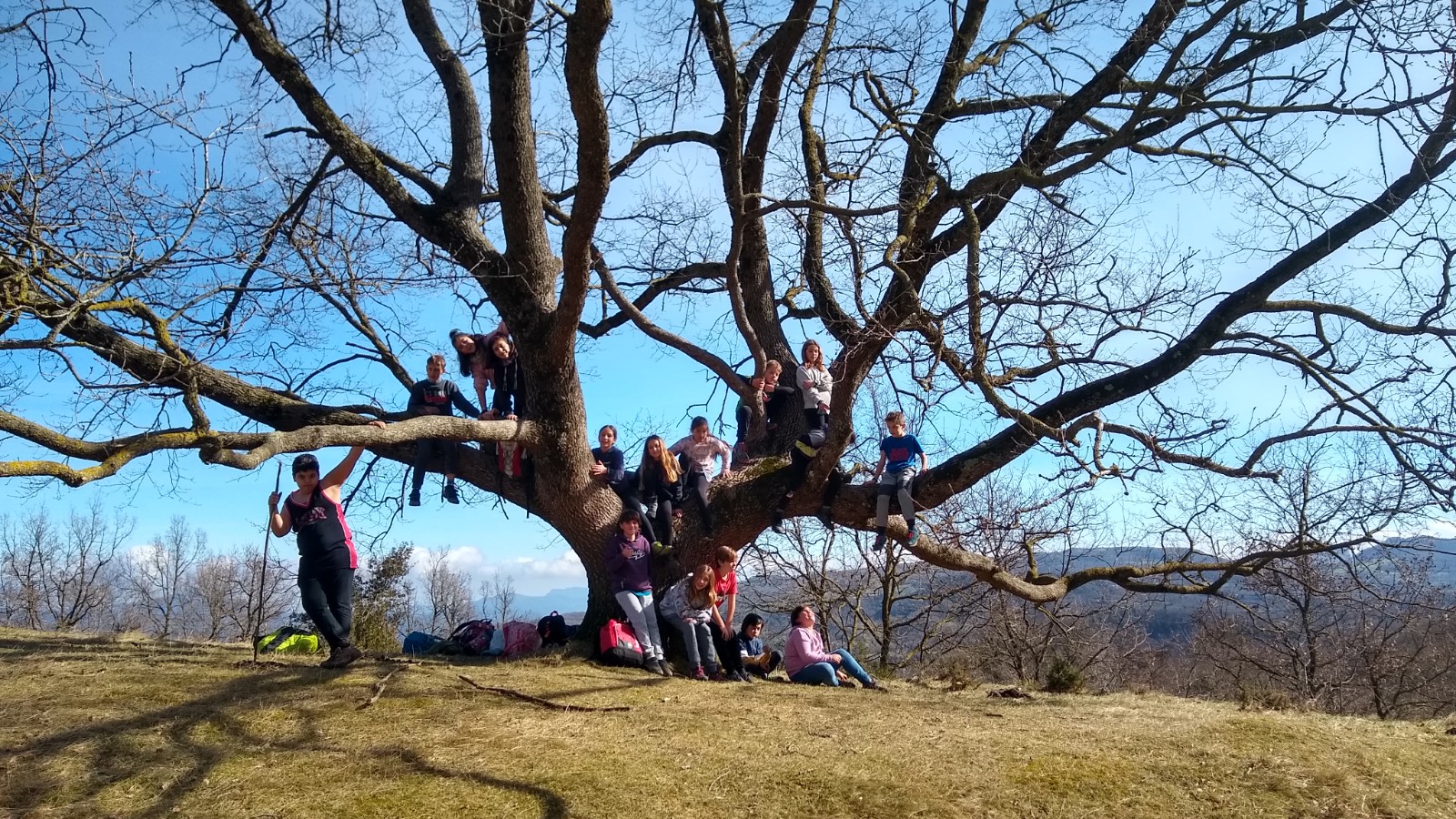 IMG_20210211_124852980_HDR