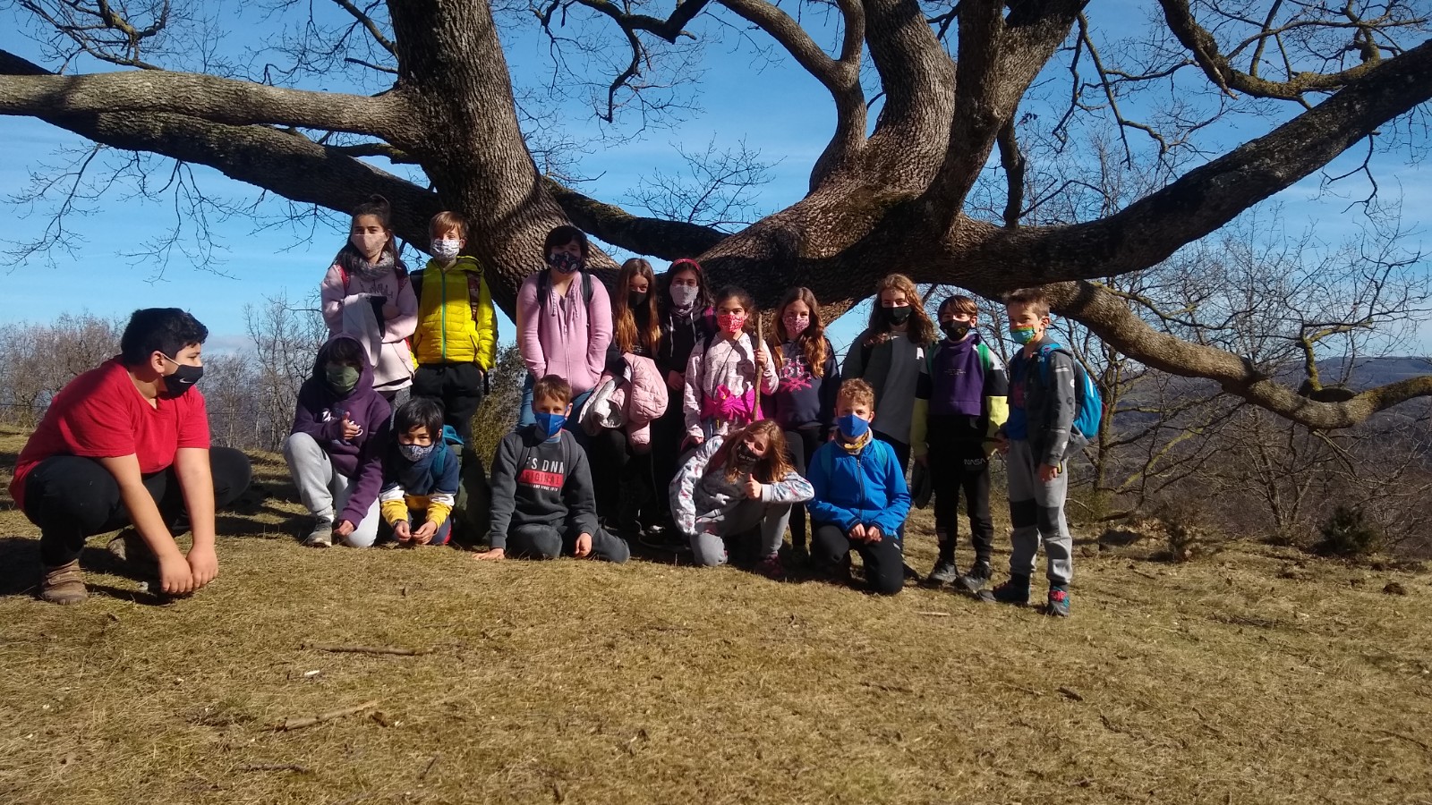 IMG_20210211_140743533