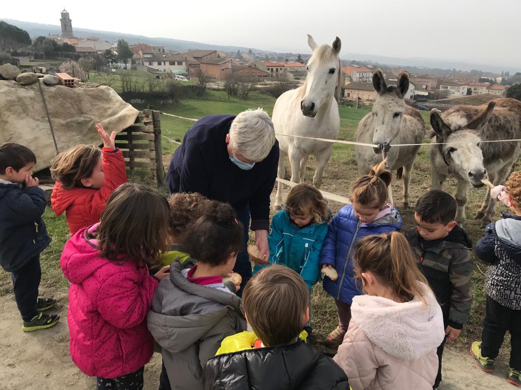 PHOTO-2021-03-04-13-20-40 (3)