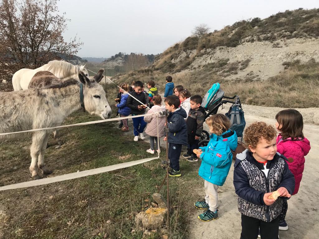 PHOTO-2021-03-04-13-20-40 (4)