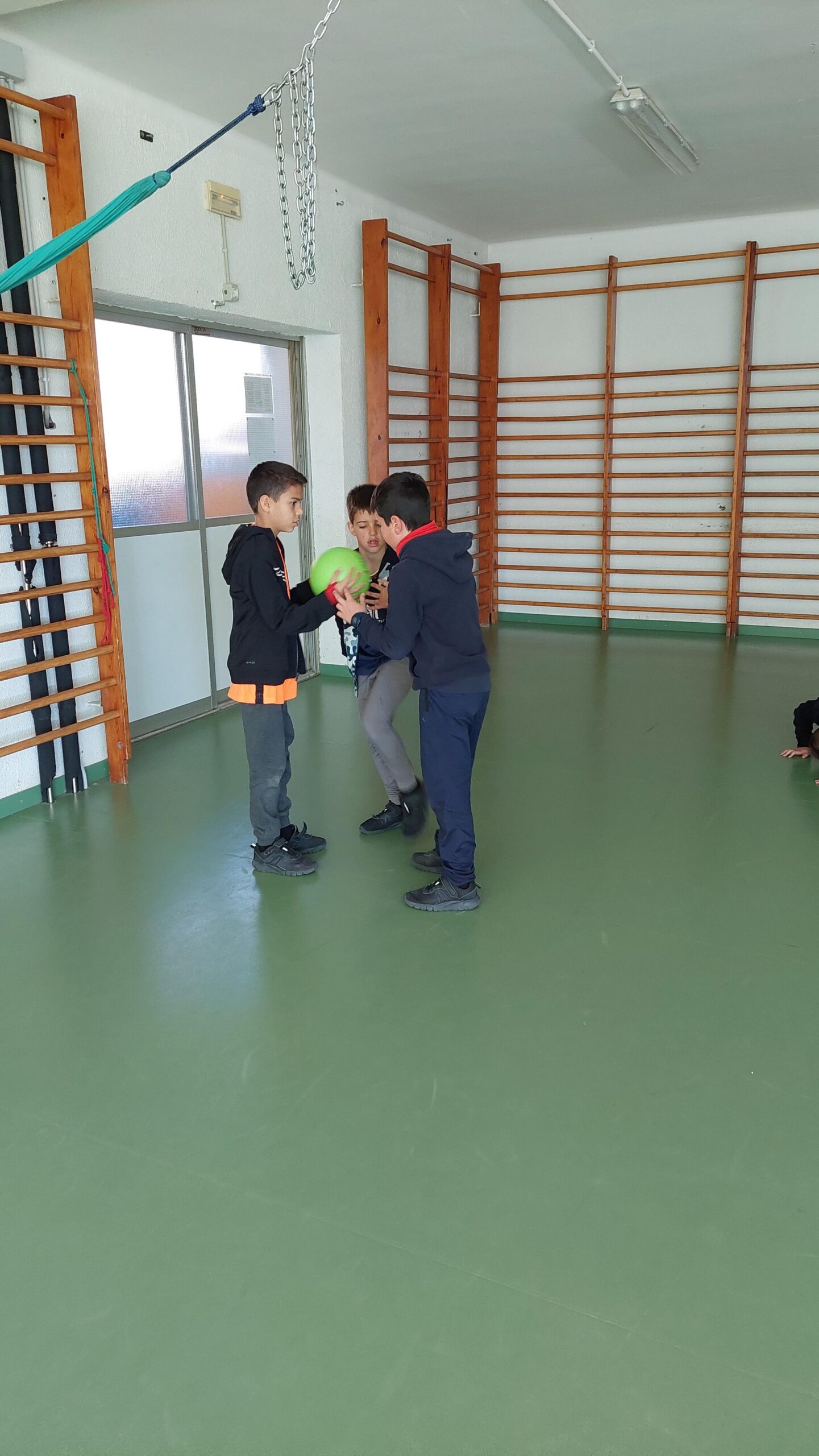 20230125_120419 (Copy)