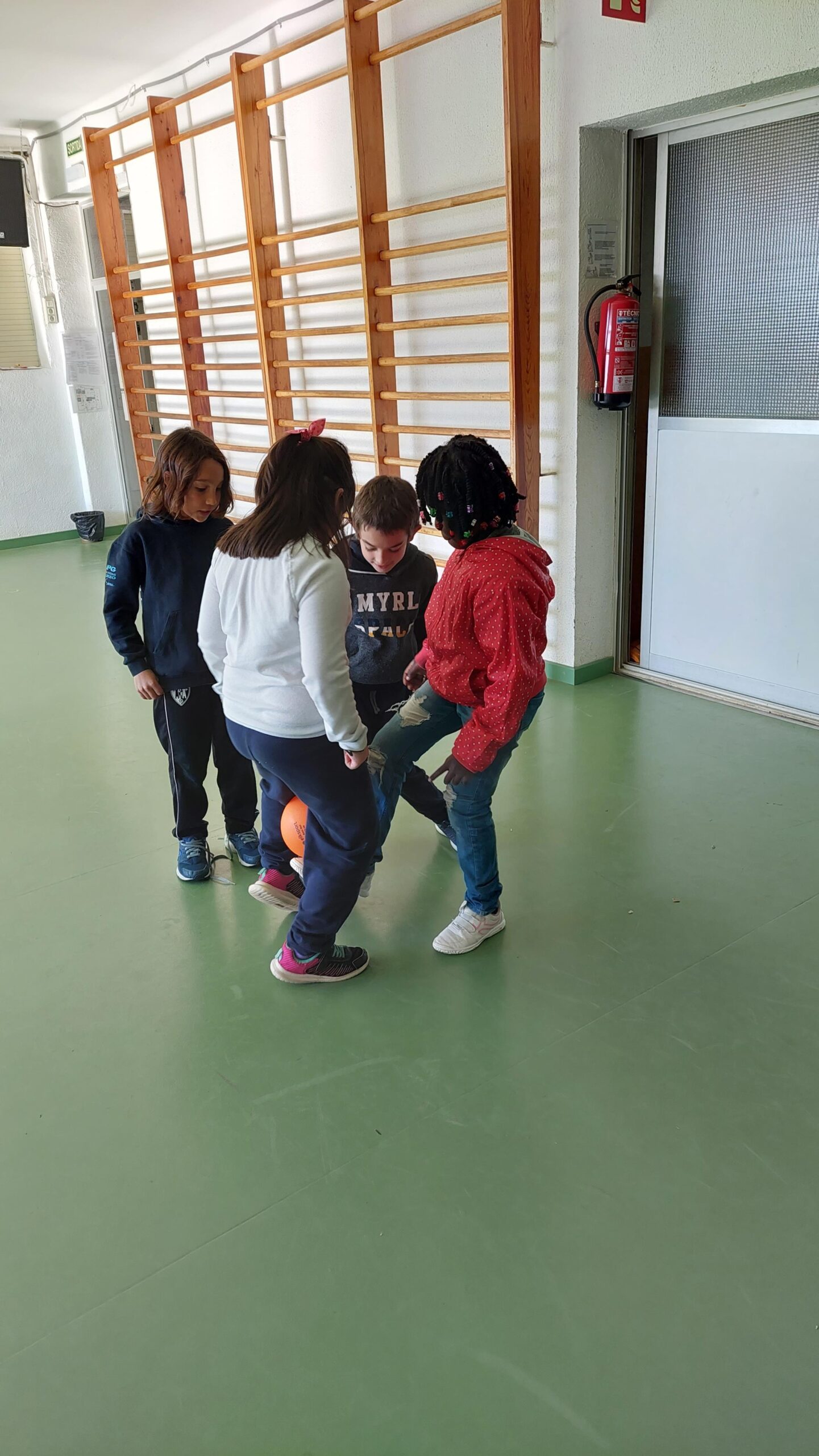 20230125_120511 (Copy)