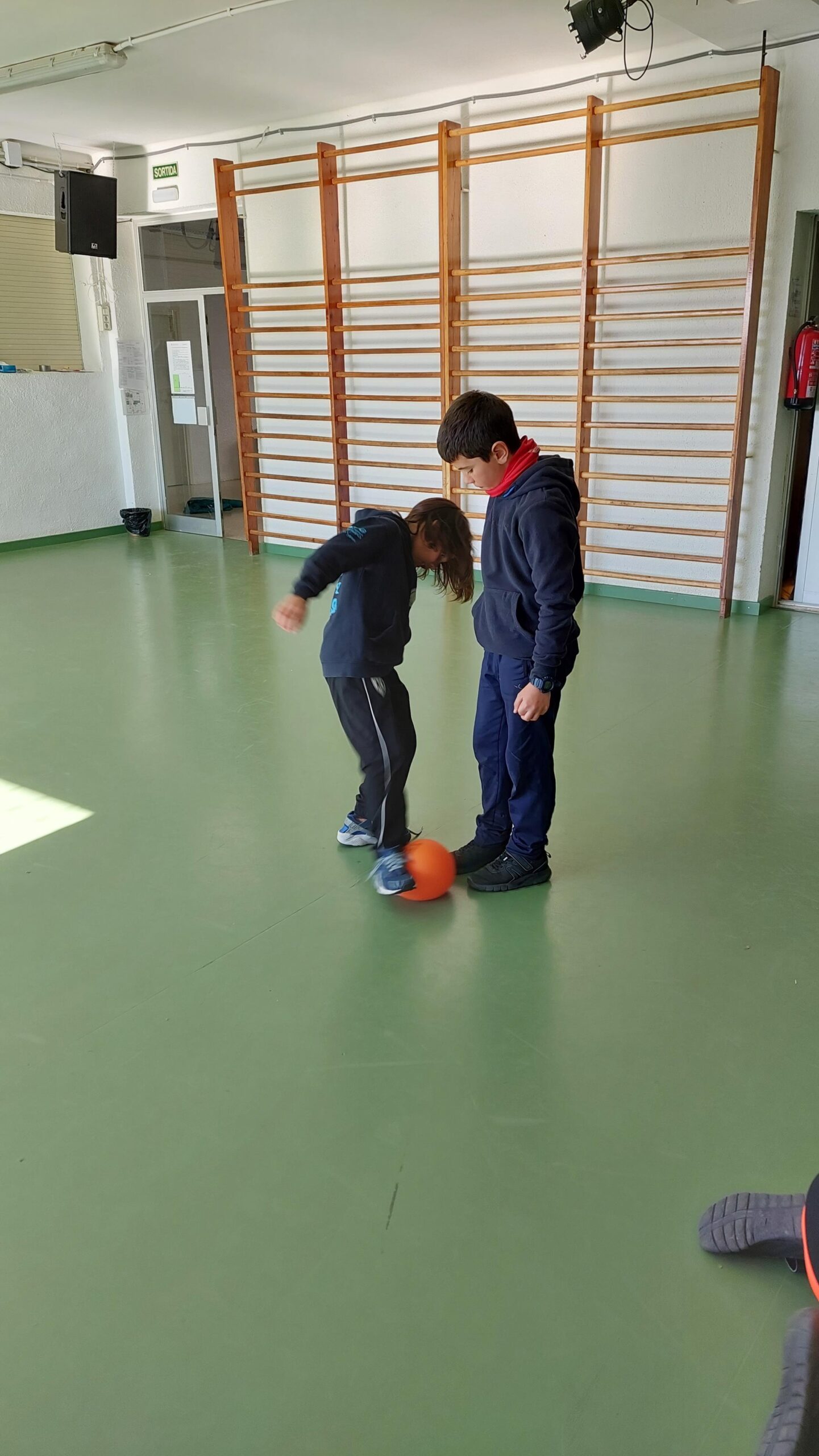 20230125_122128 (Copy)