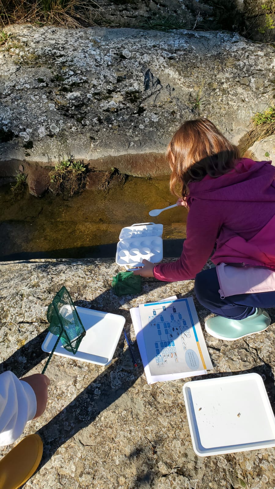 WhatsApp Image 2024-10-04 at 14.01.29 (1)