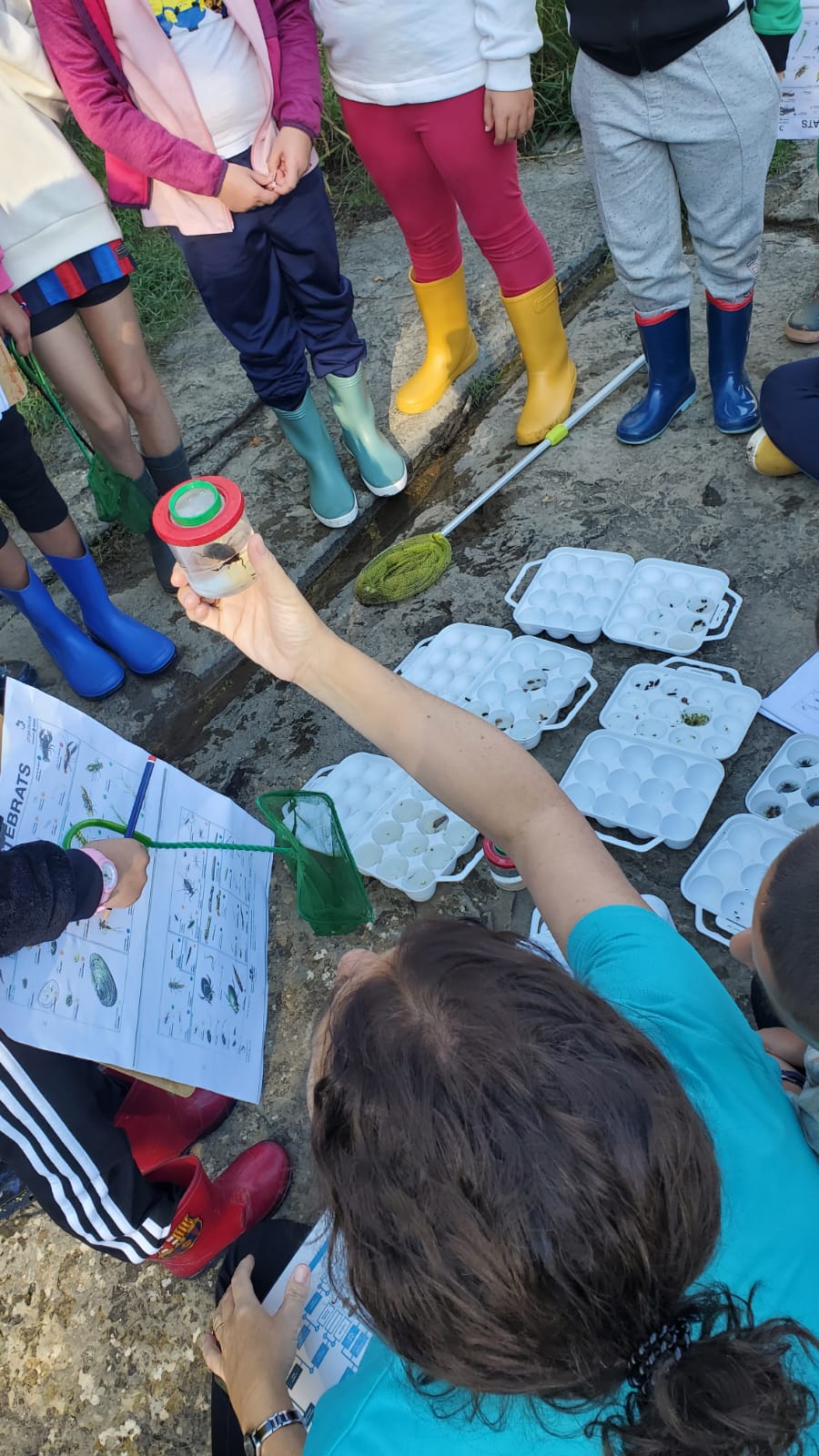 WhatsApp Image 2024-10-04 at 14.01.29 (3)