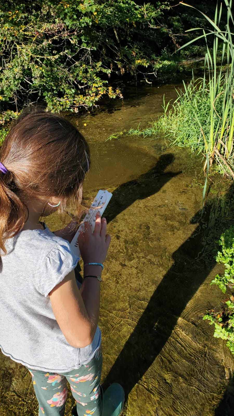 WhatsApp Image 2024-10-04 at 14.01.29 (4)