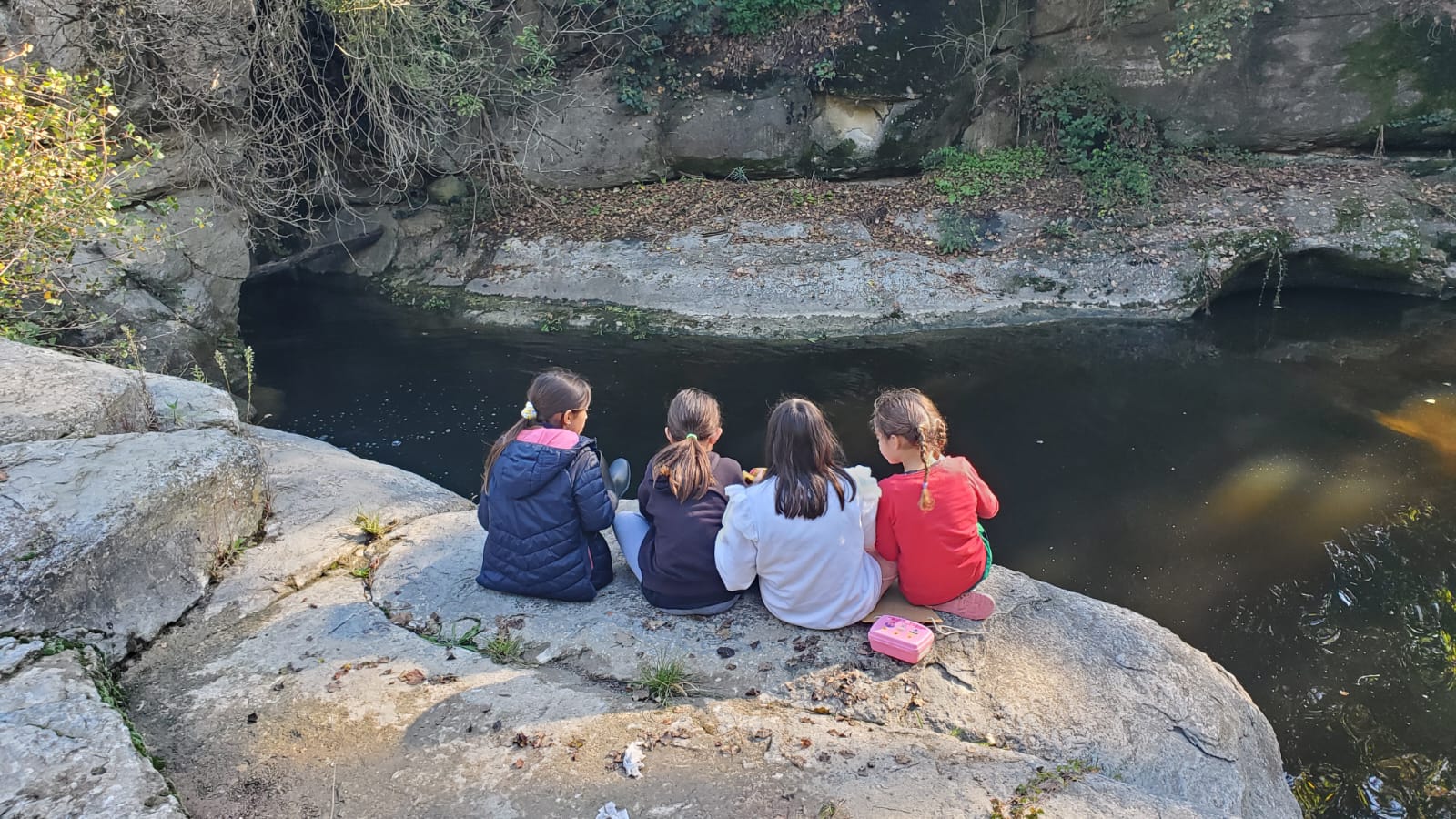 WhatsApp Image 2024-10-04 at 14.01.29 (5)