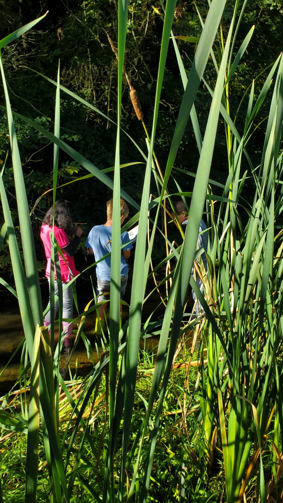 WhatsApp Image 2024-10-04 at 14.01.29 (6)