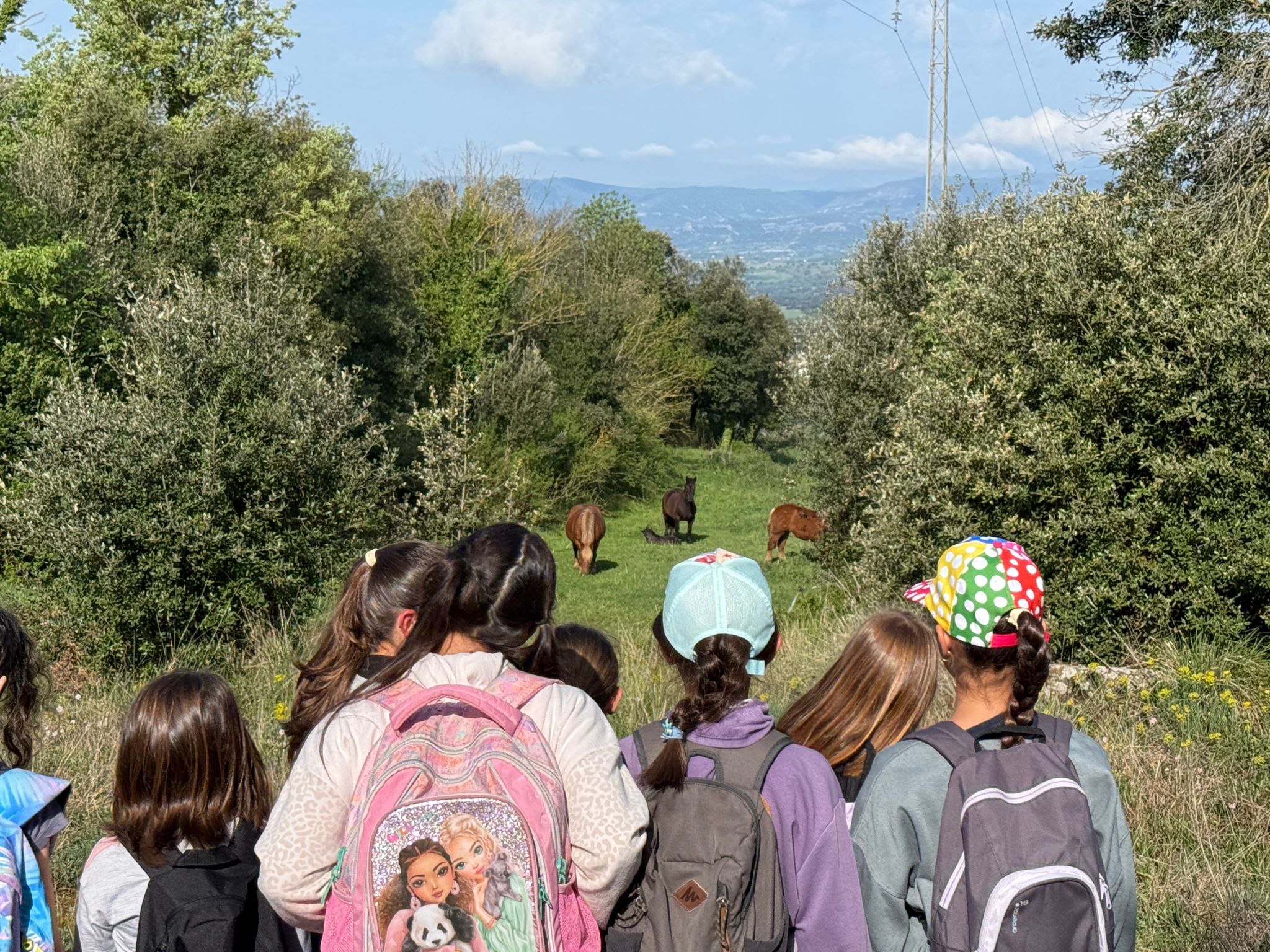 WhatsApp Image 2026-04-23 at 13.14.30 (1)