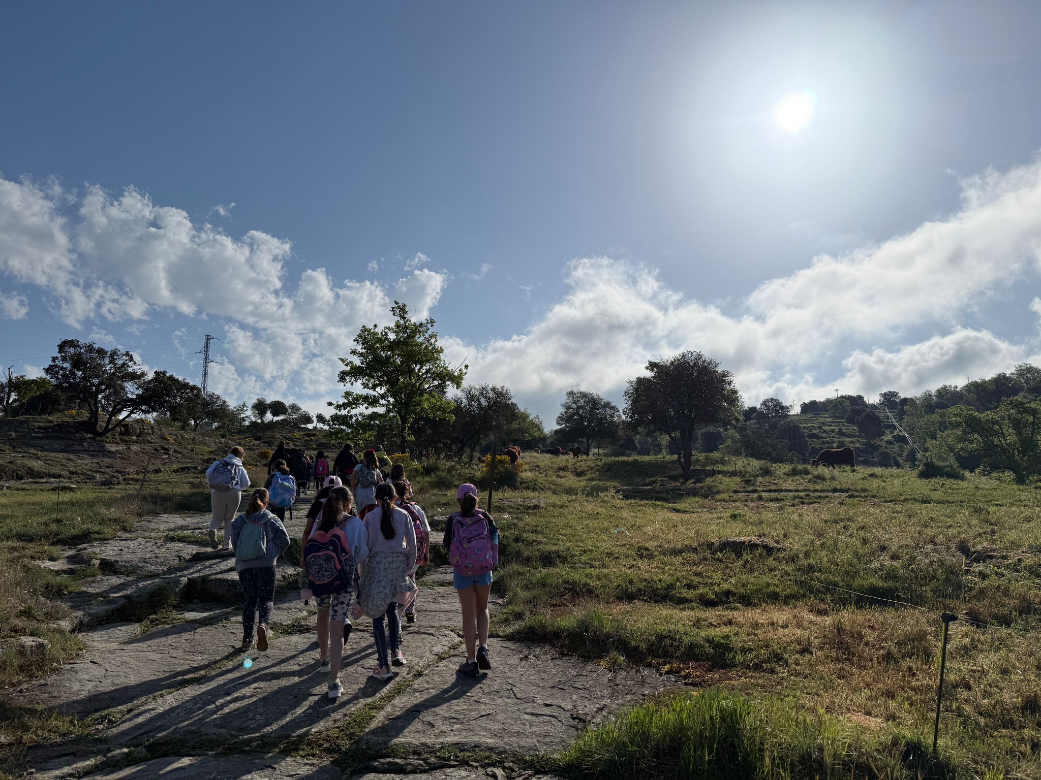 WhatsApp Image 2026-04-23 at 13.14.30