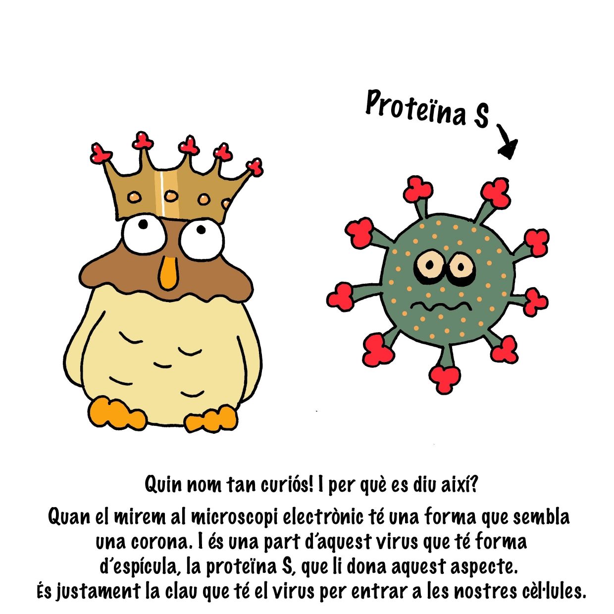 CONTE MUSSOL I EL CORONAVIRUS_pages-to-jpg-0007