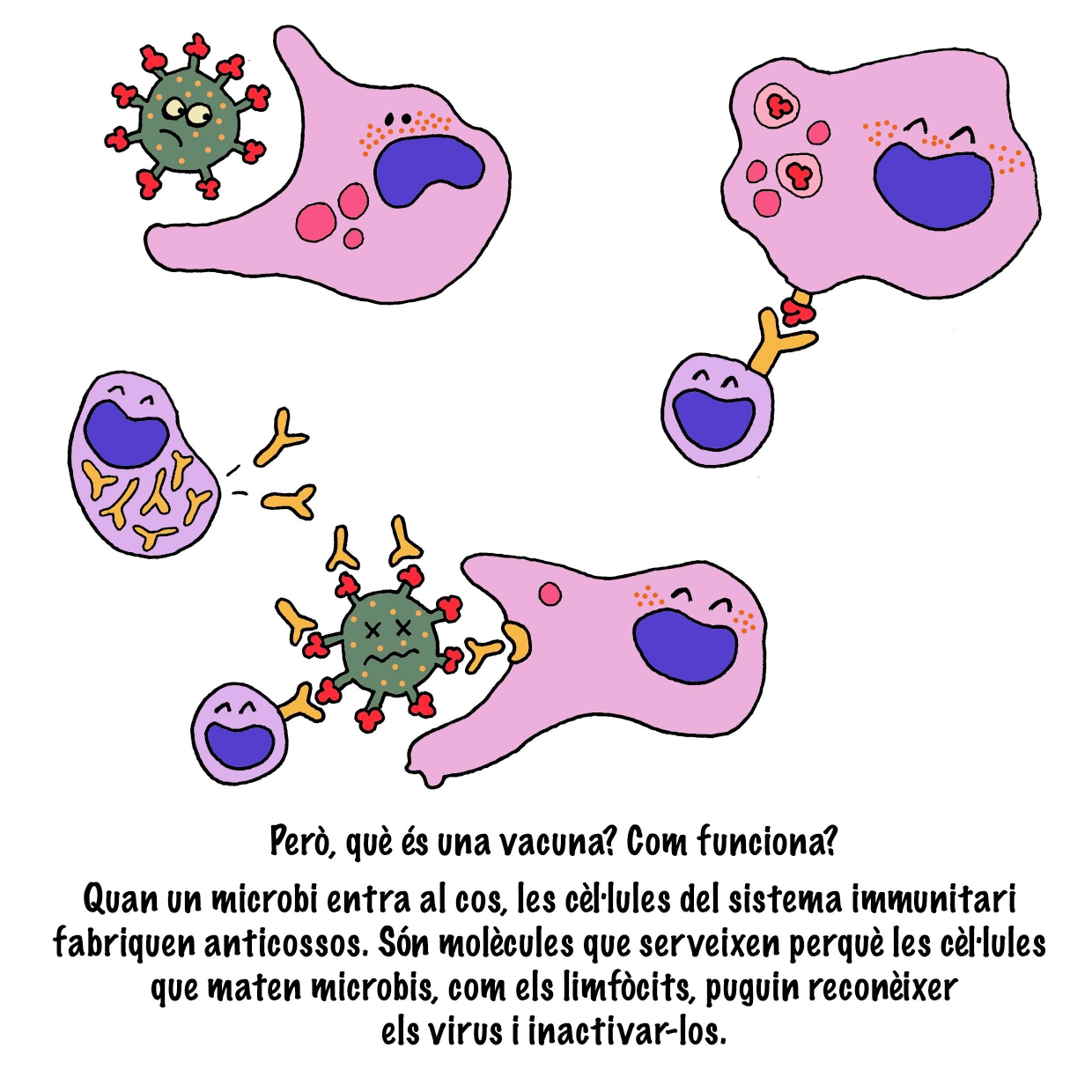 CONTE MUSSOL I EL CORONAVIRUS_pages-to-jpg-0025