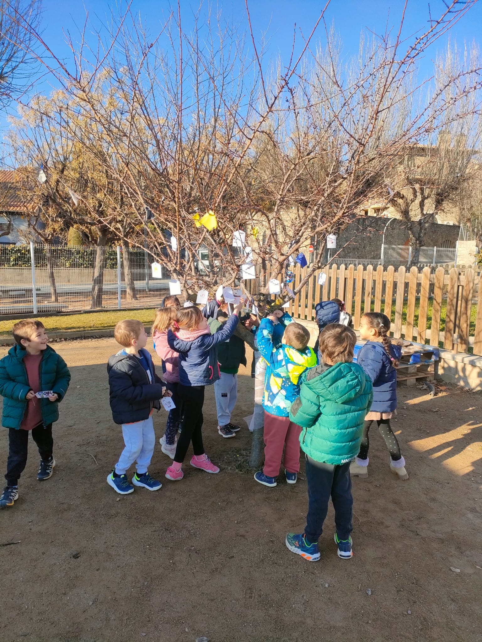 6c2434a6-900b-4d60-b56b-4980480c9094