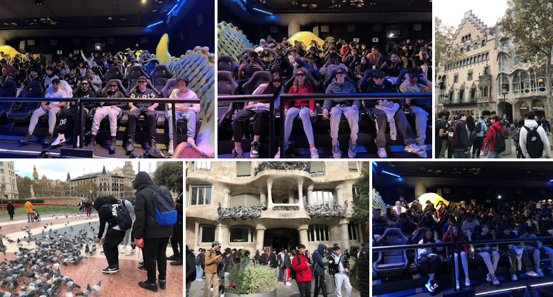 Veure les fotos de la sortida