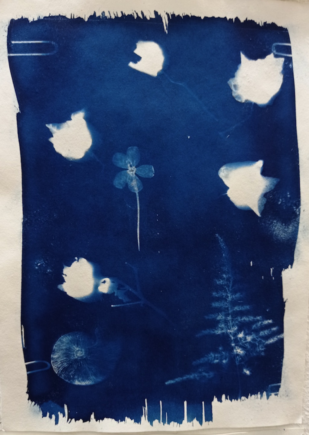 Captura de Pantalla 2023-05-10 a les 19.38.38