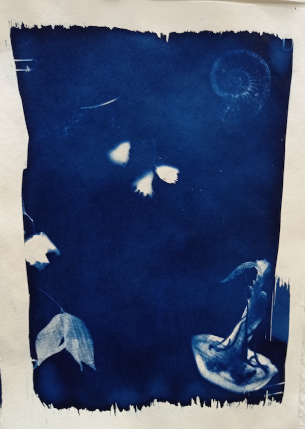 Captura de Pantalla 2023-05-10 a les 19.39.01