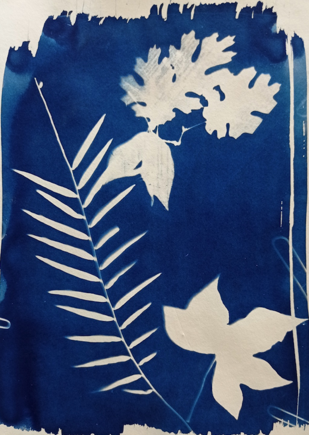 Captura de Pantalla 2023-05-10 a les 19.39.25