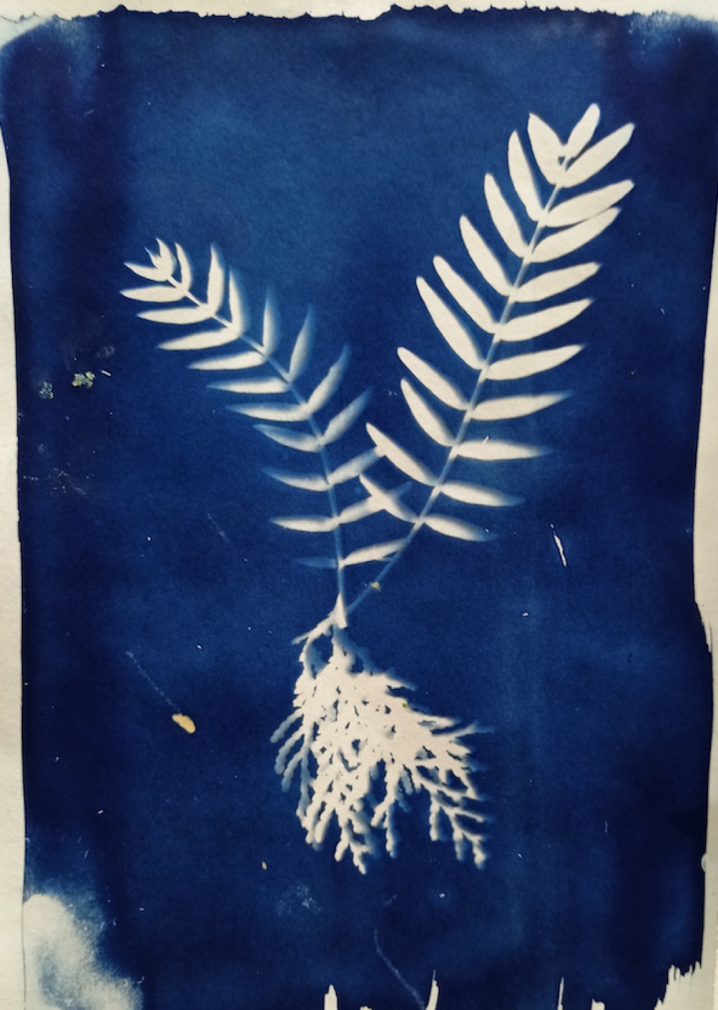 Captura de Pantalla 2023-05-10 a les 19.39.45