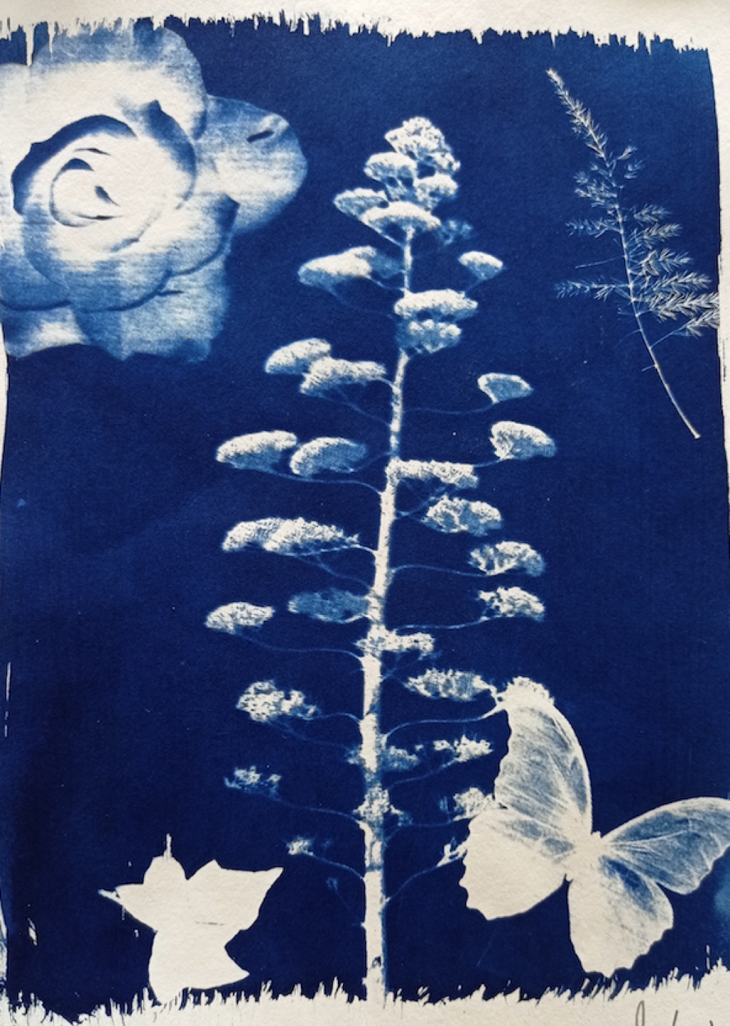 Captura de Pantalla 2023-05-10 a les 19.40.35