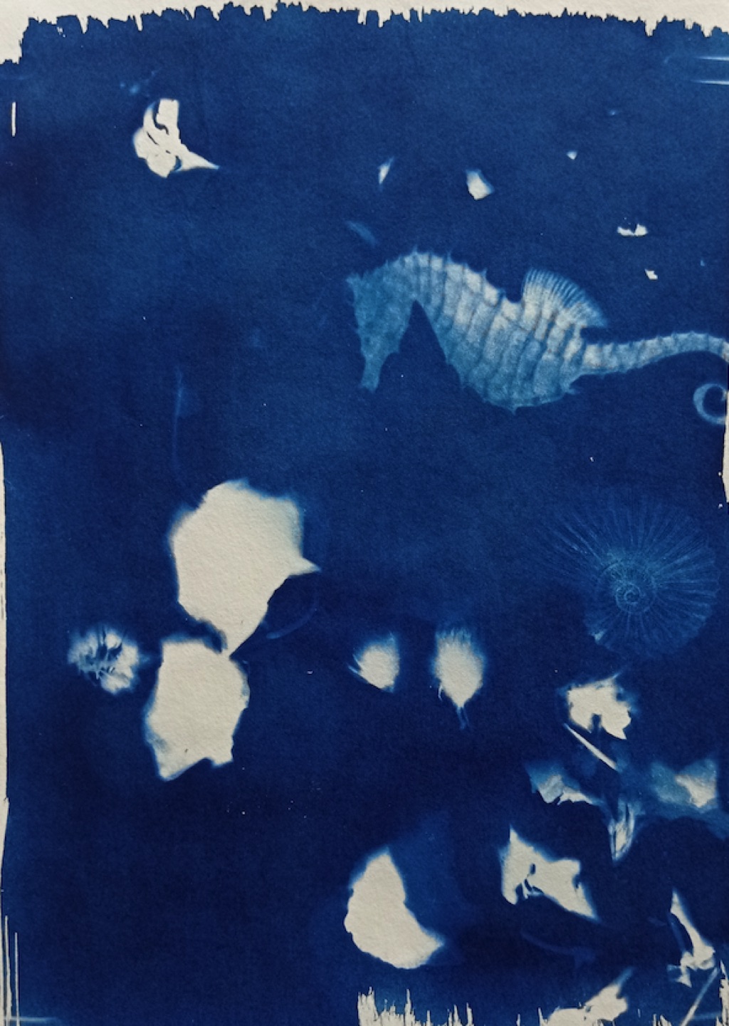 Captura de Pantalla 2023-05-10 a les 19.42.27