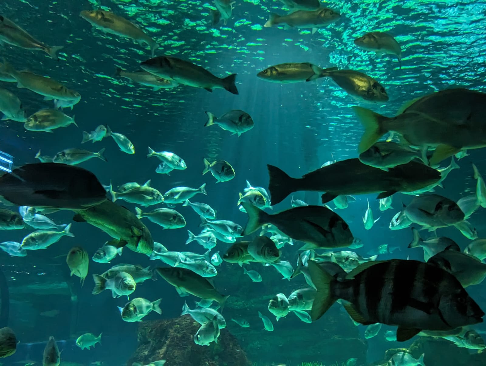 WhatsApp Image 2023-11-22 at 11.50.41