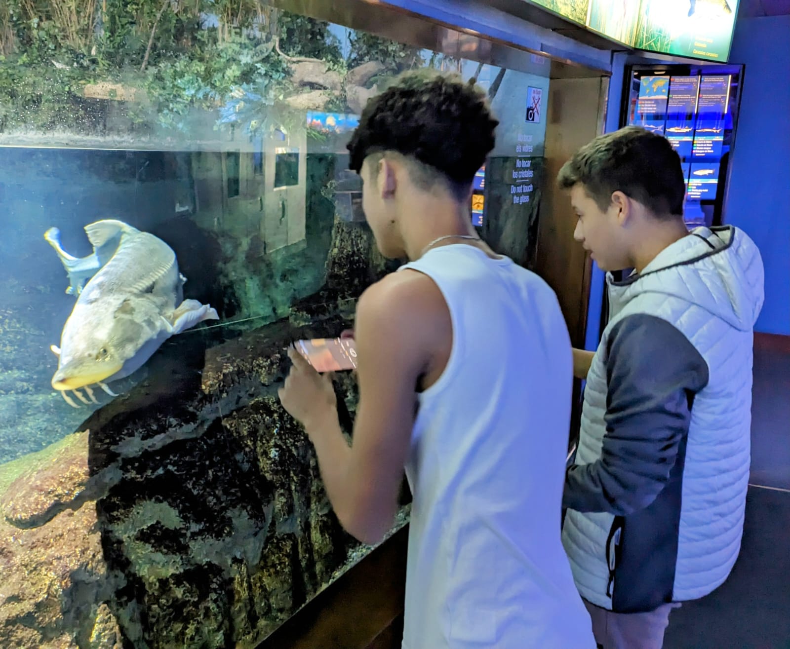 WhatsApp Image 2023-11-22 at 11.50.44