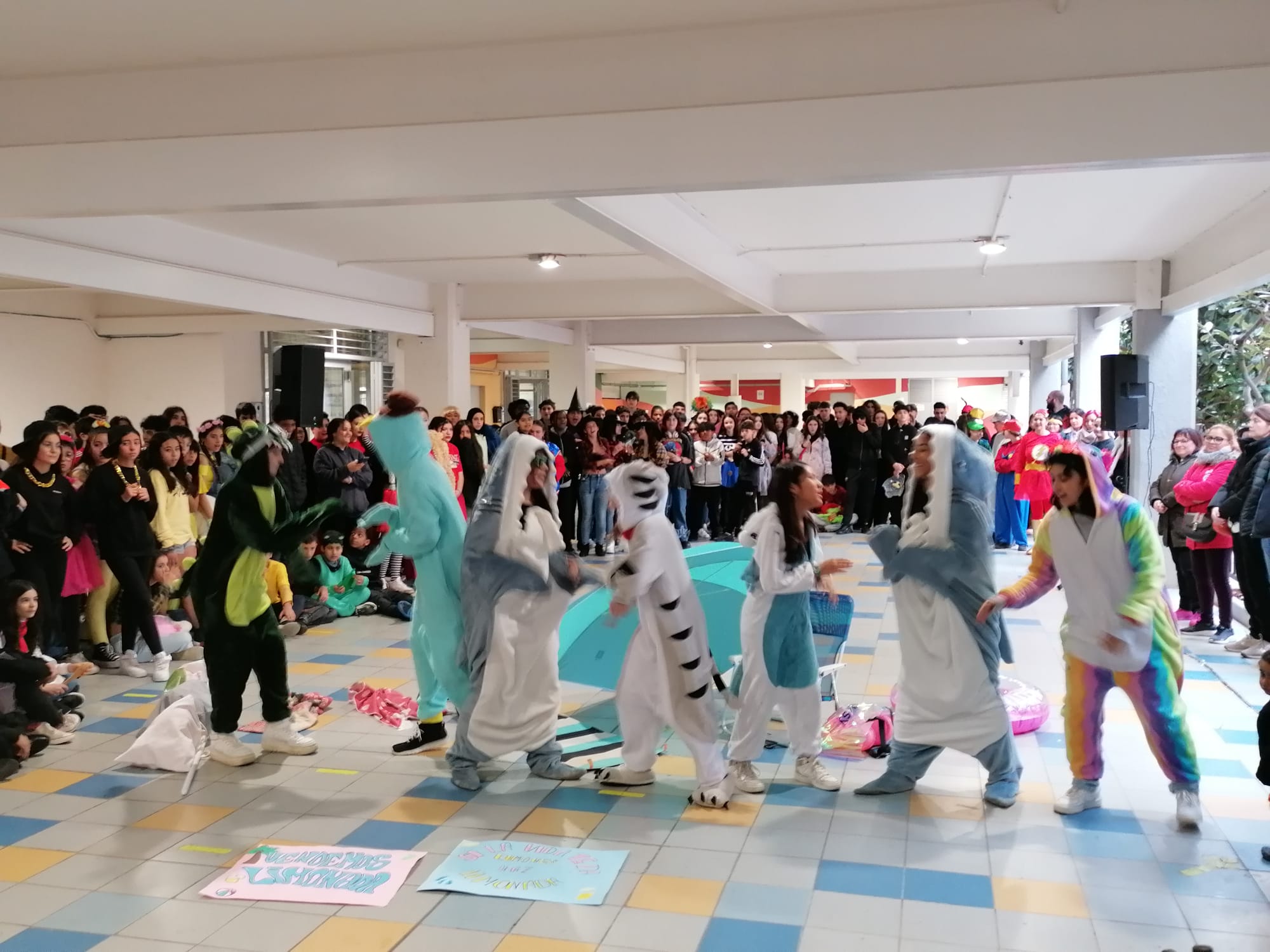 WhatsApp Image 2024-02-09 at 15.38.00