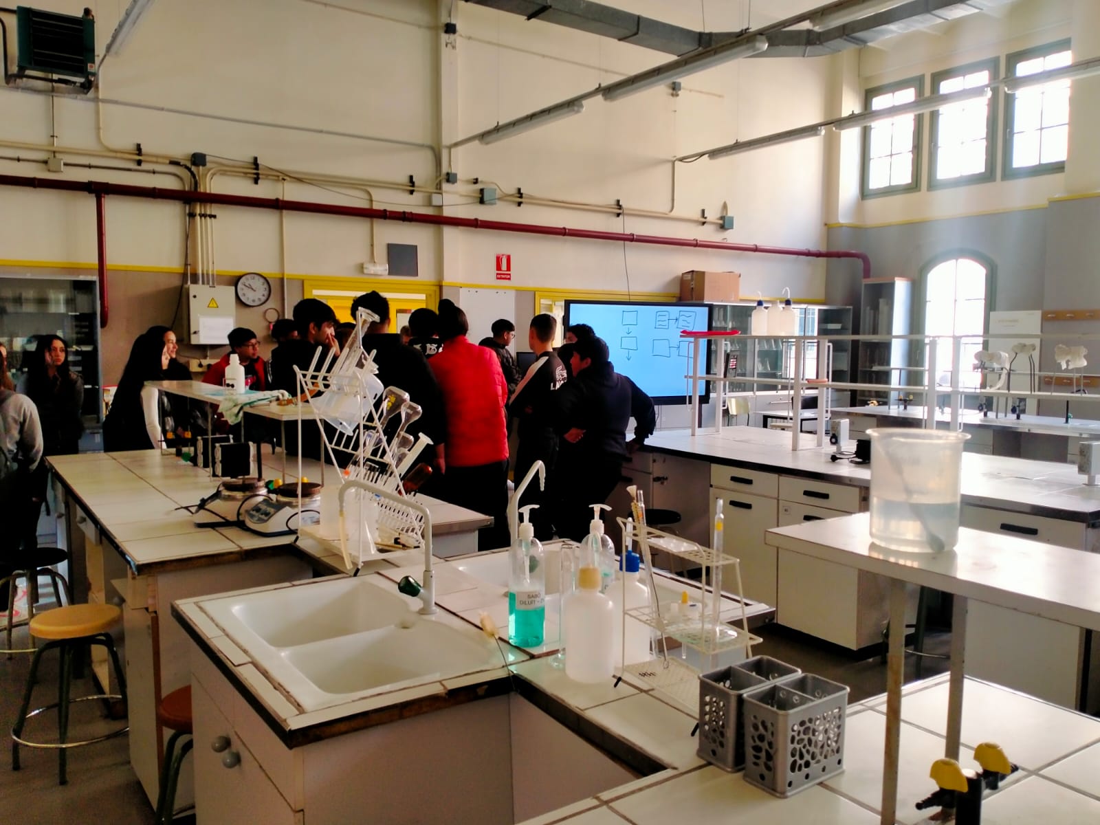 WhatsApp Image 2024-03-20 at 12.16.37-4