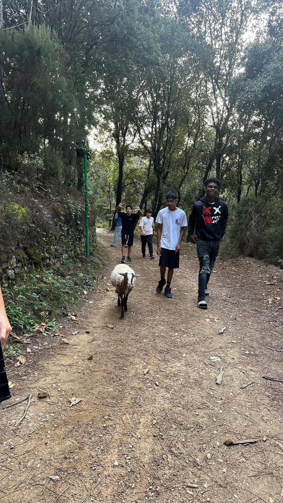 PHOTO-2025-10-24-18-19-41(2)