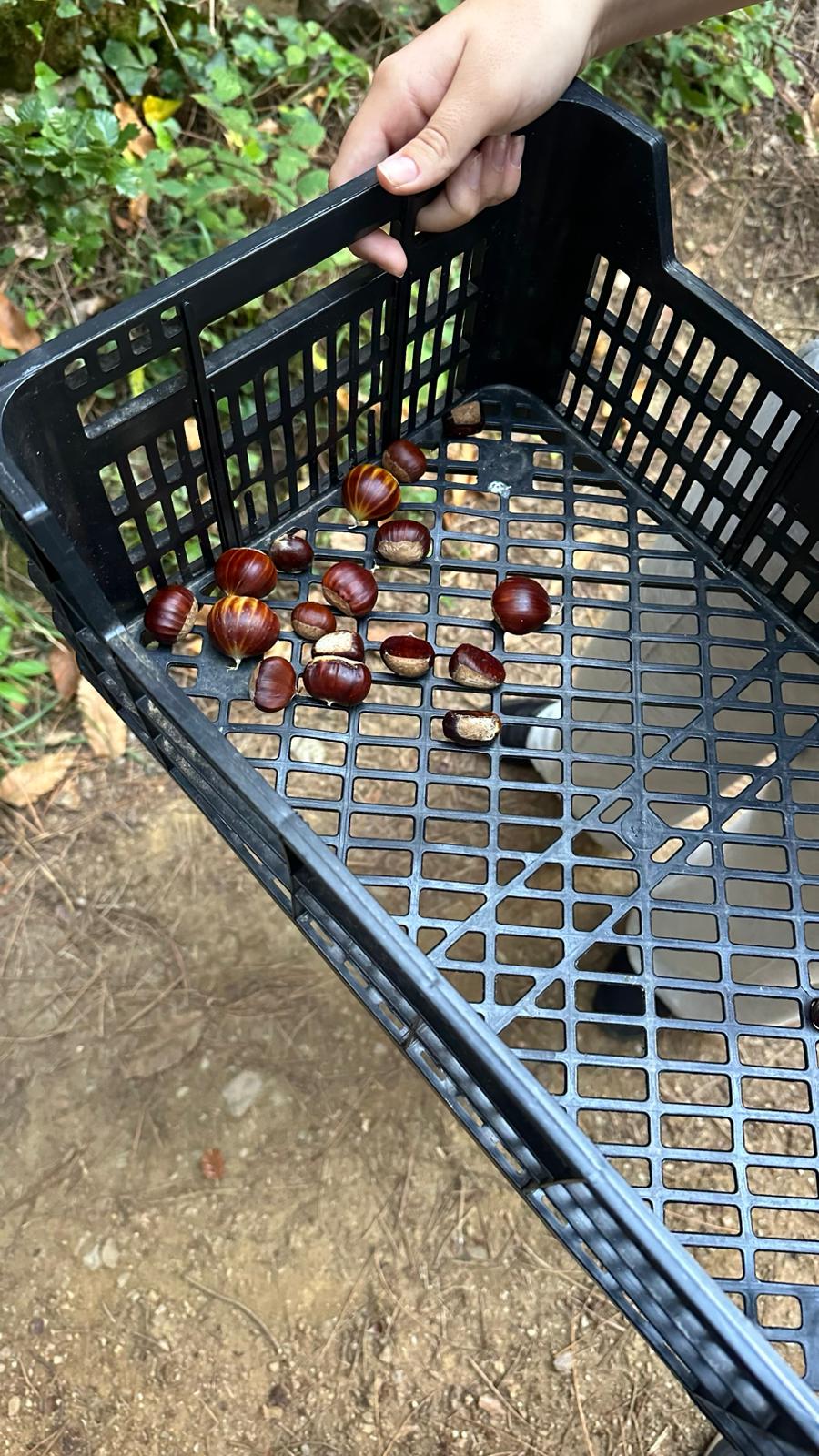 PHOTO-2025-10-24-18-19-42