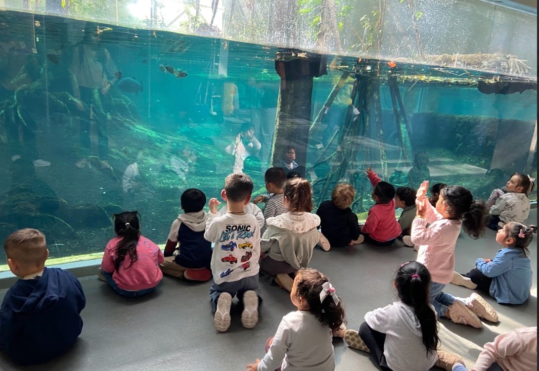 Captura de pantalla 2026-04-14 115509