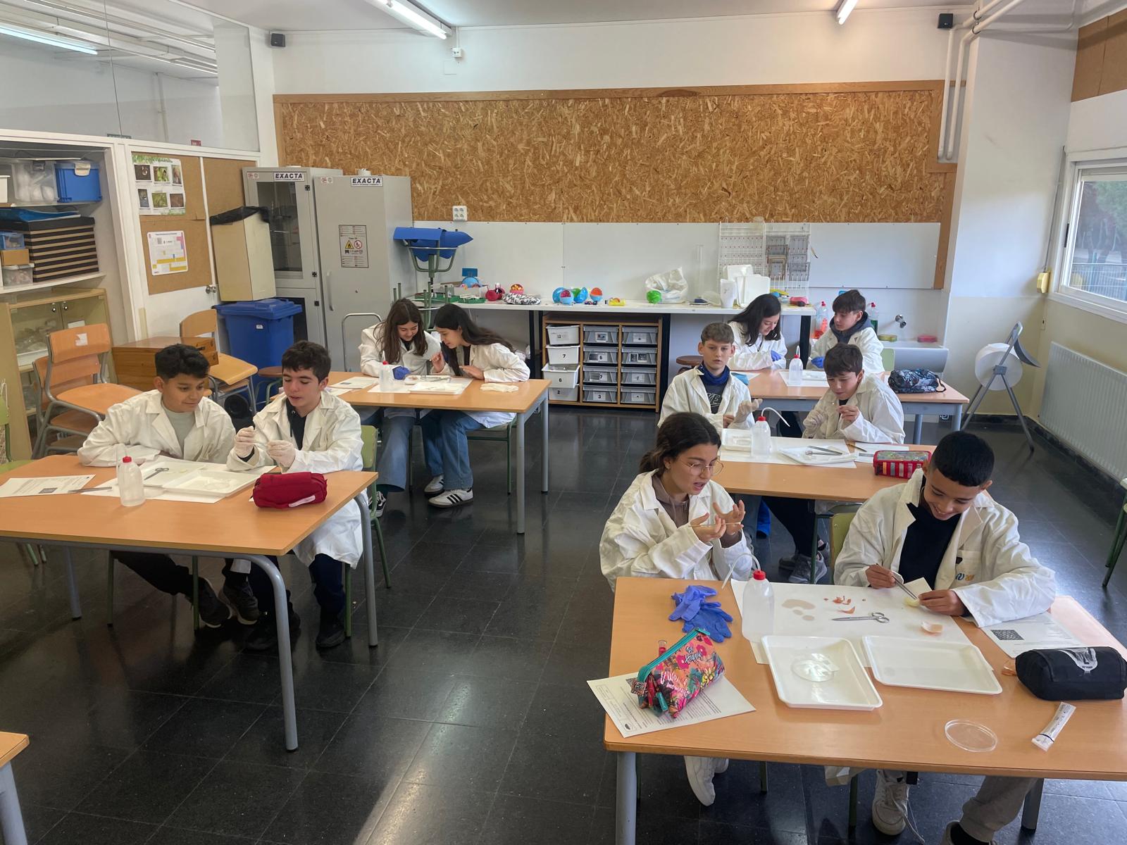 L’alumnat de 1r d’ESO ha realitzat una pràctica de laboratori per observar i comparar cèl·lules eucariotes vegetals i animals mitjançant el microscopi.