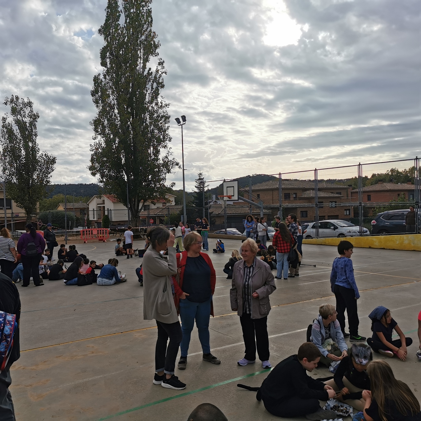 IMG_20241031_153530 - còpia