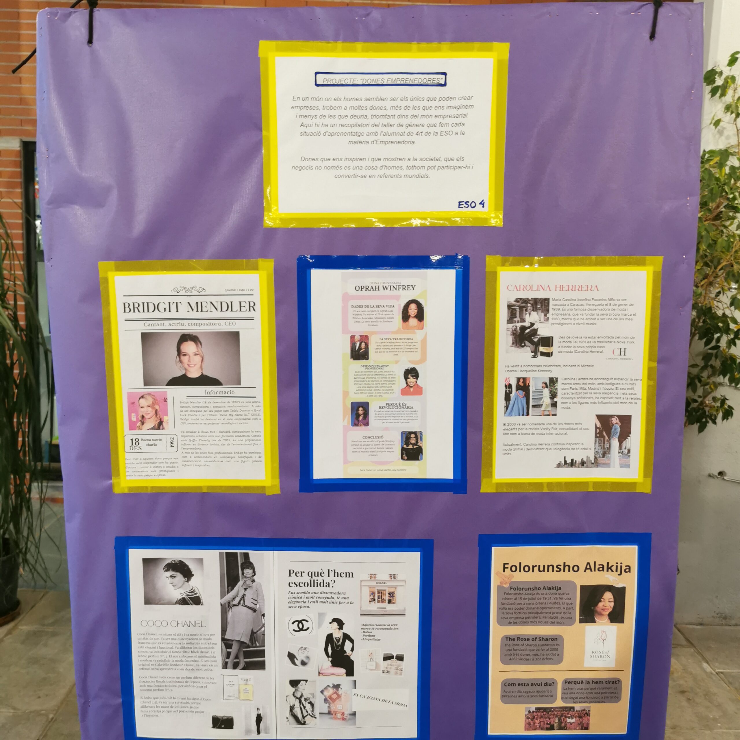 IMG_20250307_174222 (1)