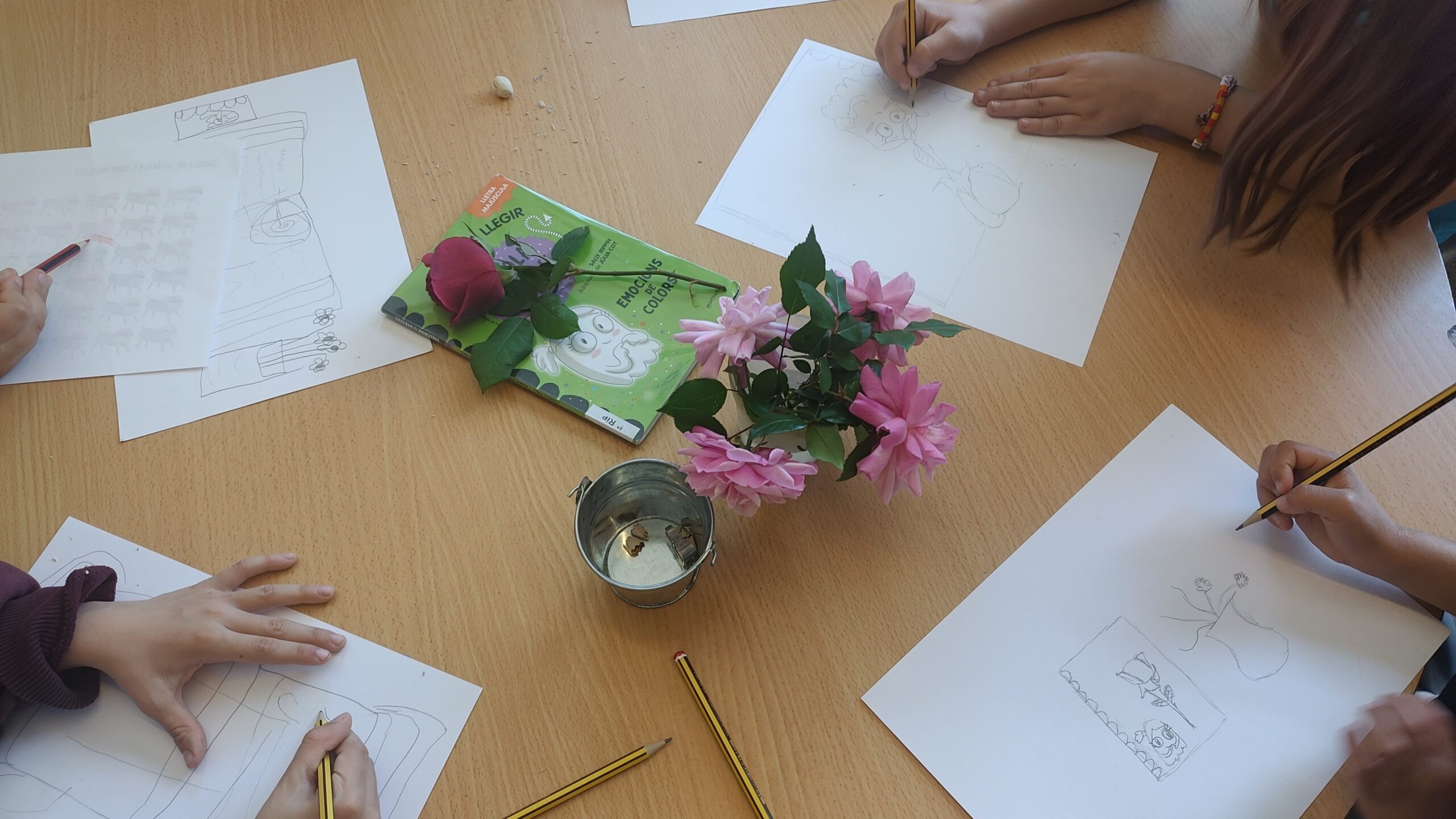 IMG_20250424_152621-min