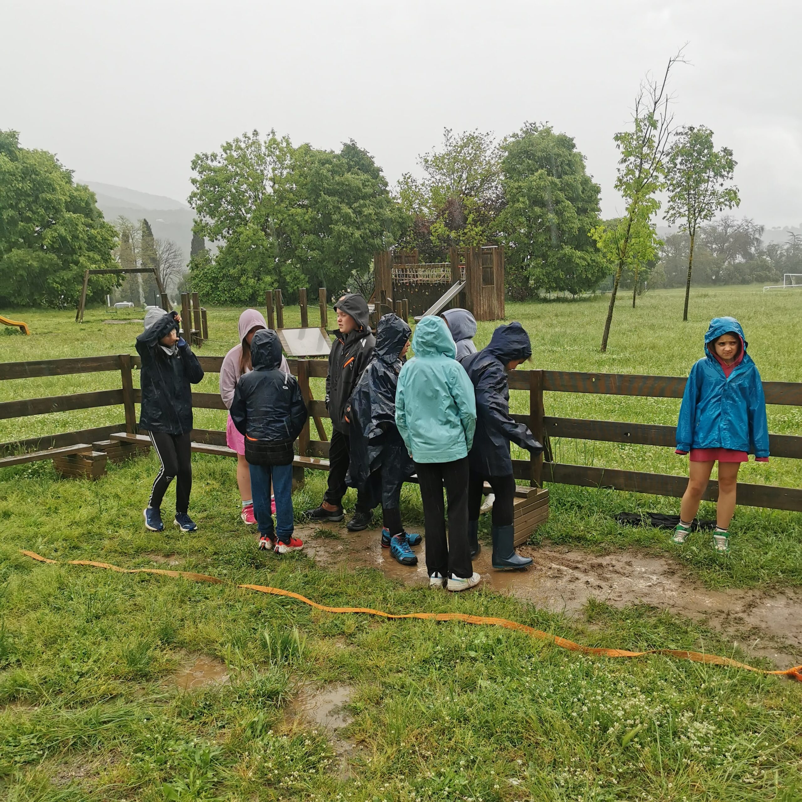 IMG_20250505_165830-min