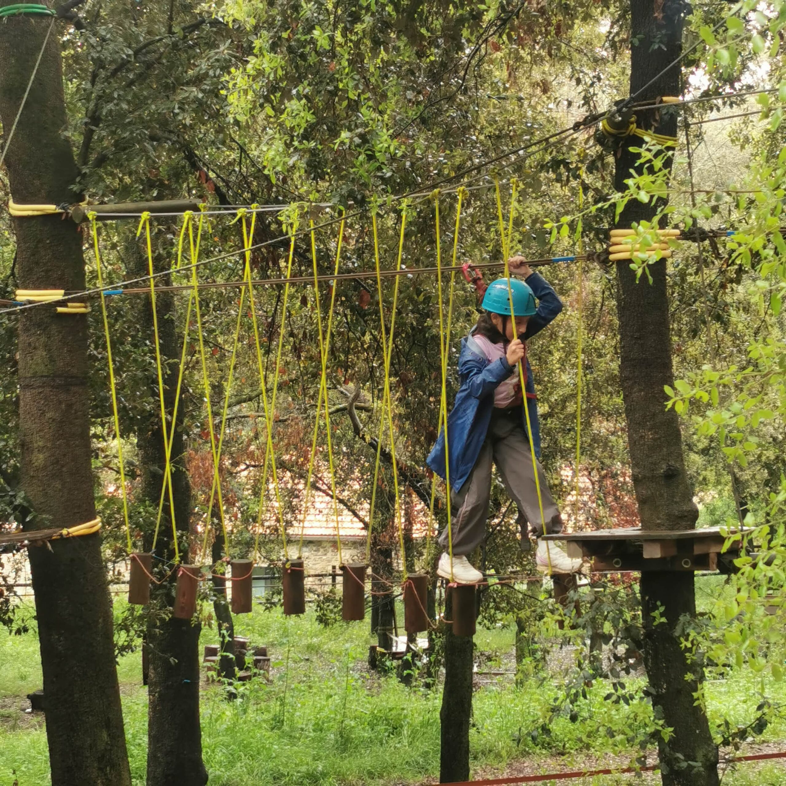 IMG_20250506_114546-min