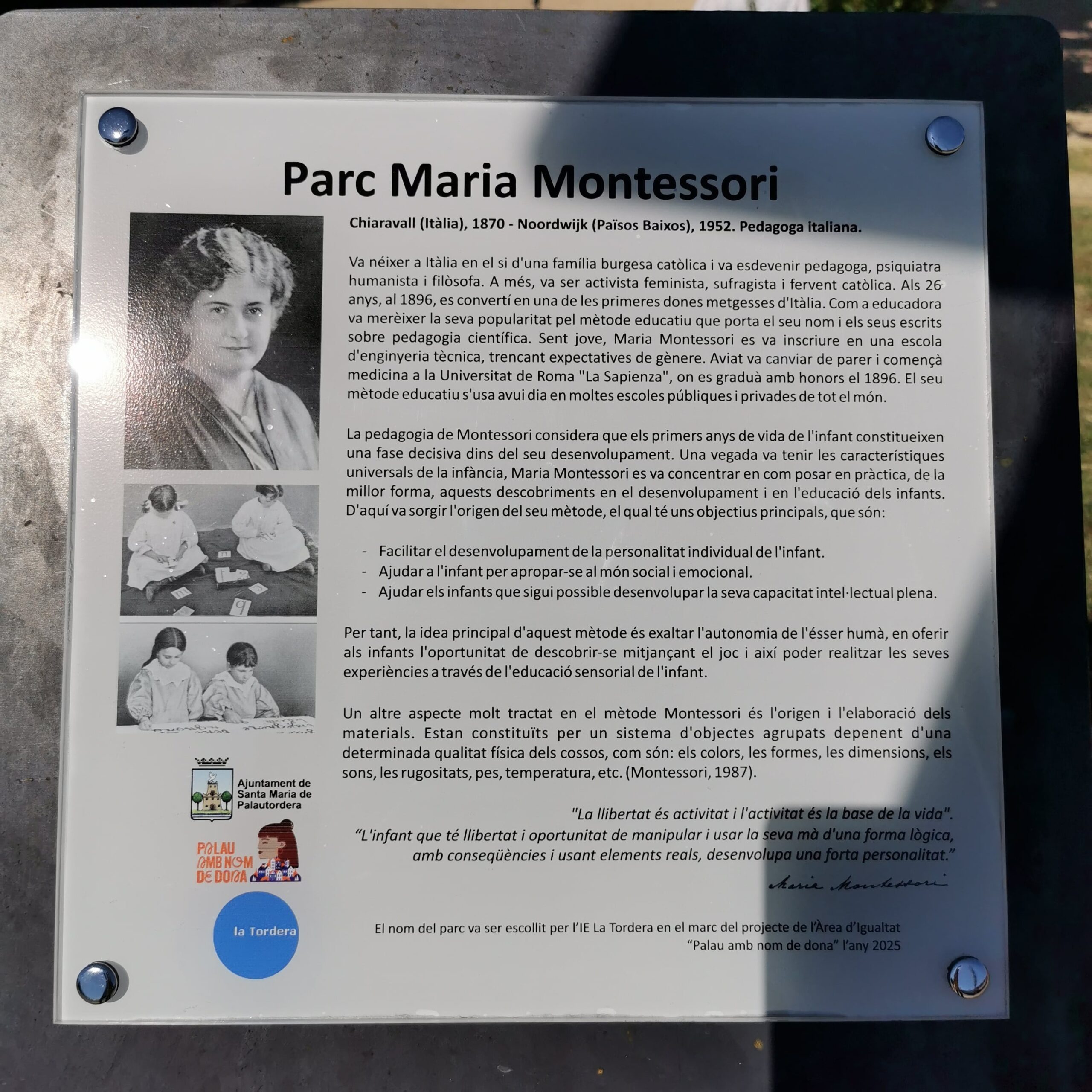 IMG_20250528_110438-min