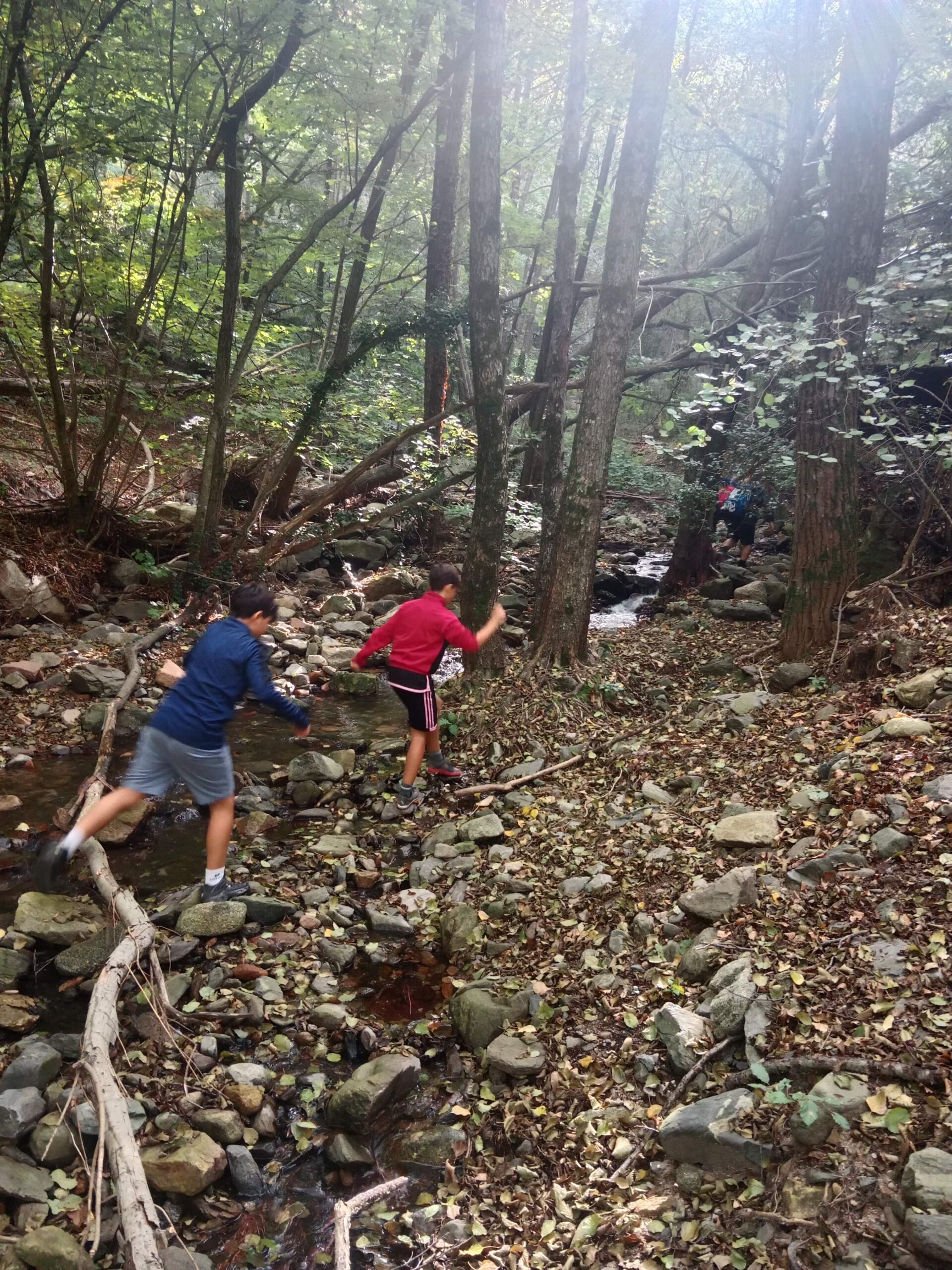 IMG_20251009_105847-min