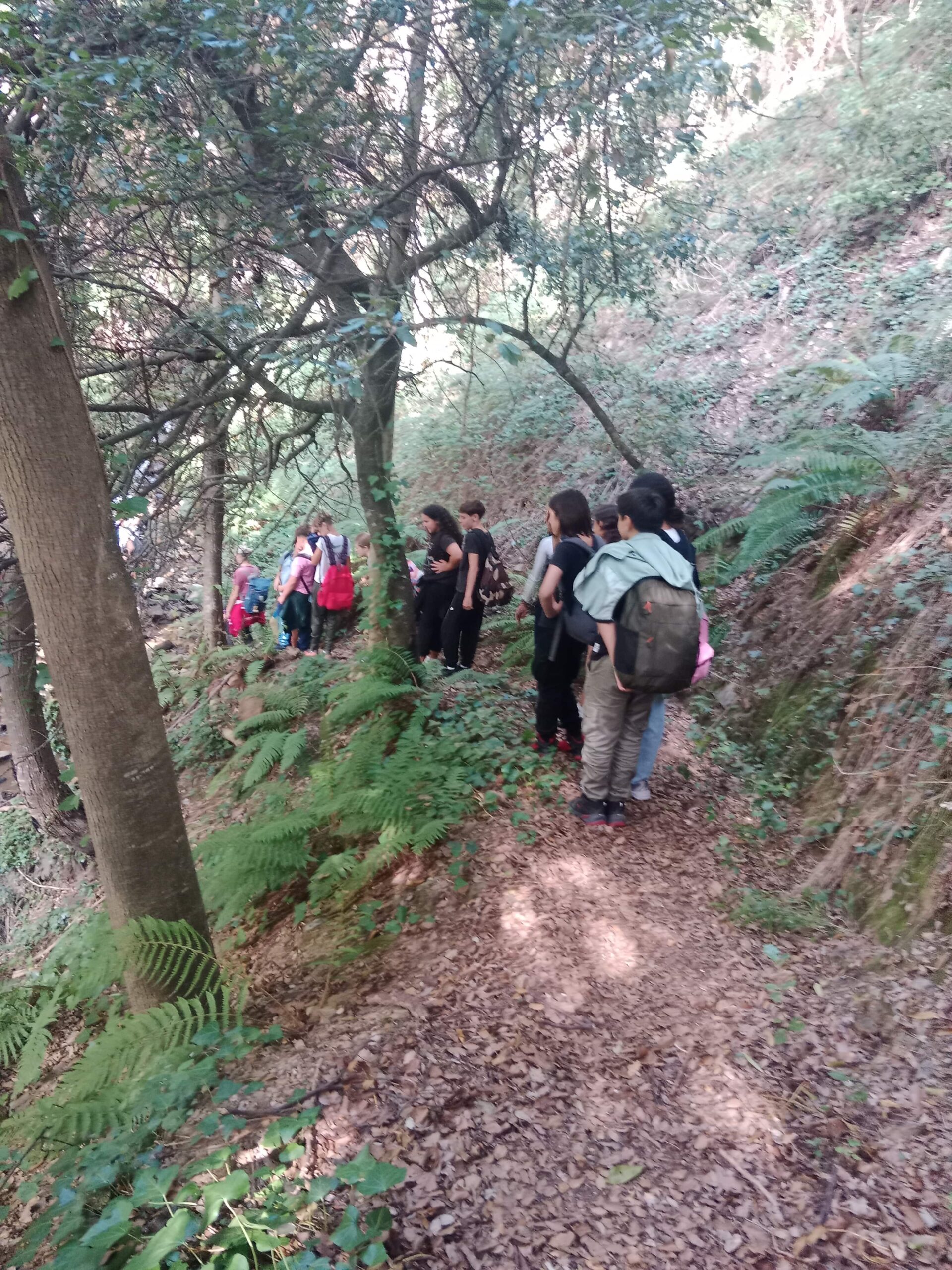 IMG_20251009_121514-min