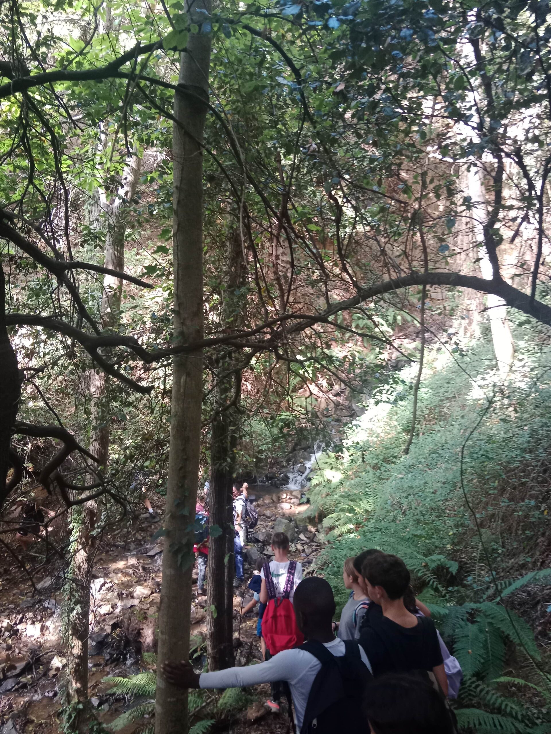 IMG_20251009_121532-min