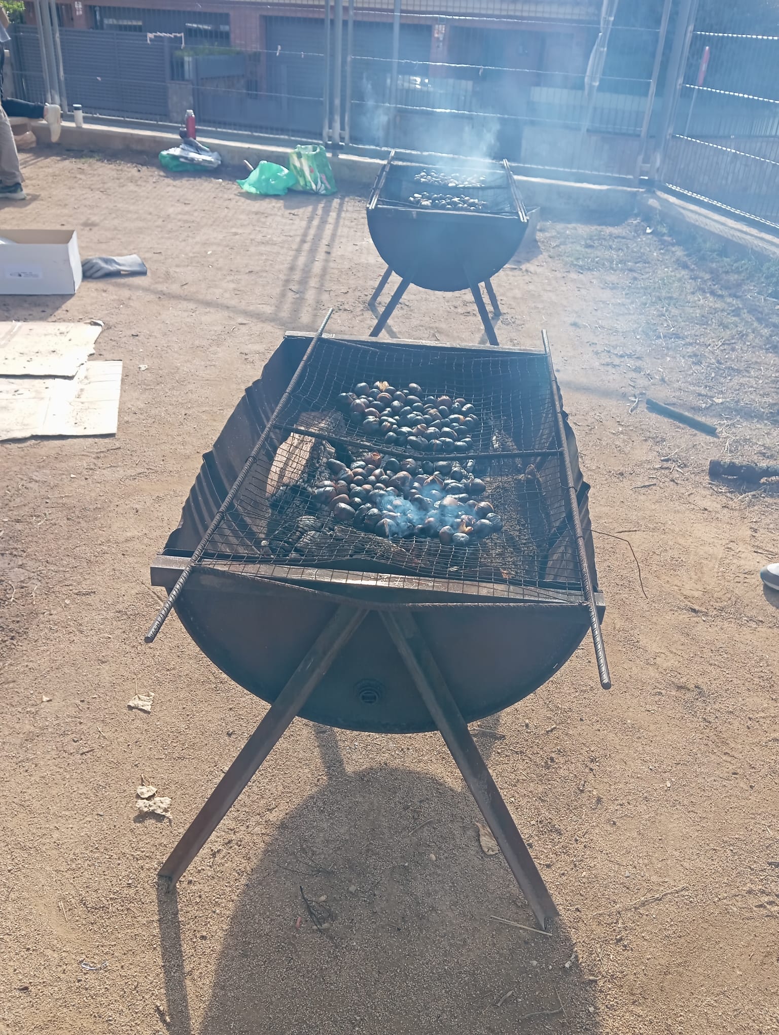 IMG-20251104-WA0021-min