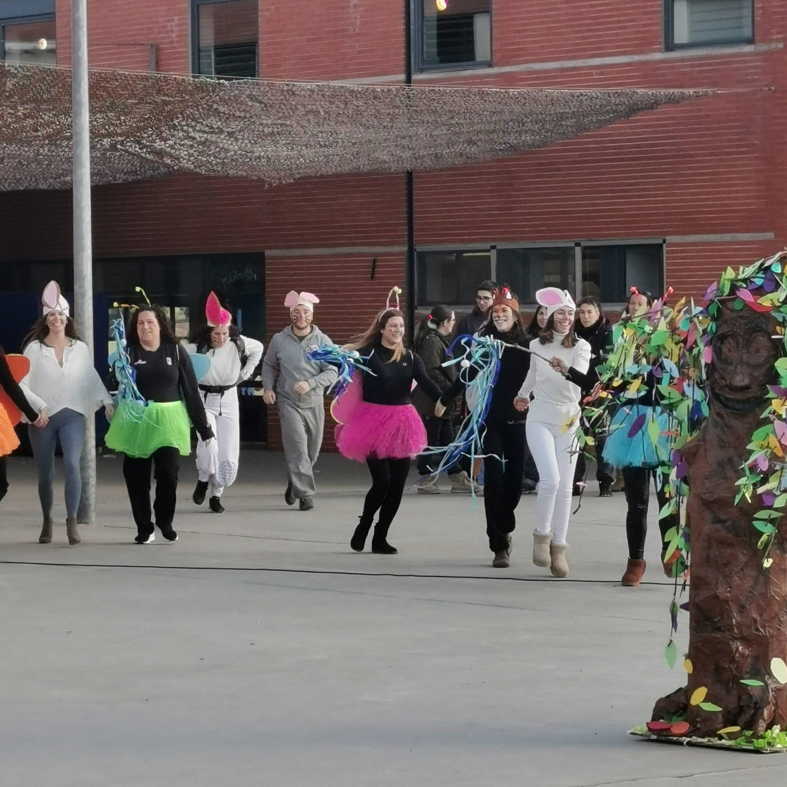 IMG_20260206_154722 (1)_batcheditor_fotor